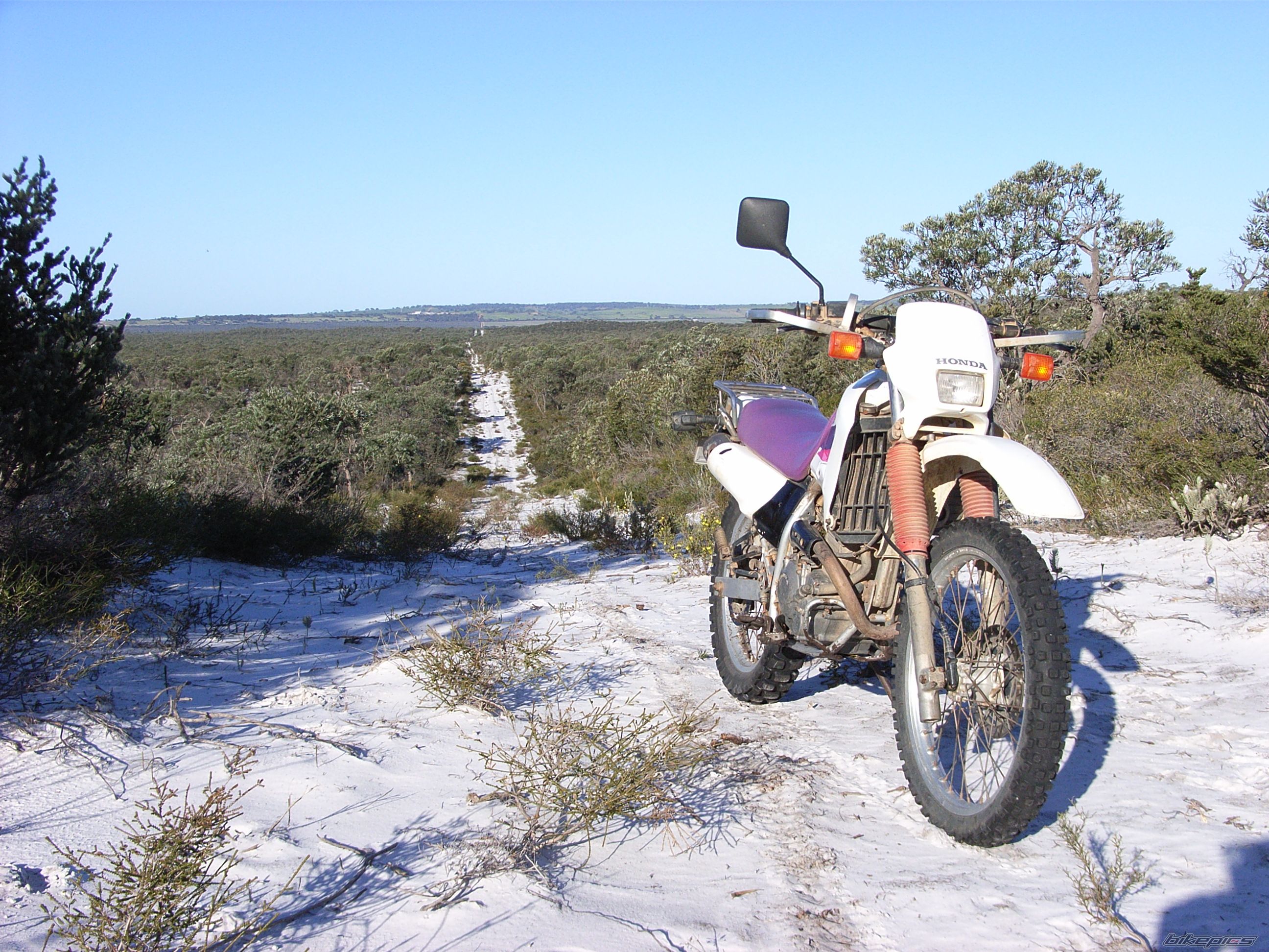 Photo 1443417