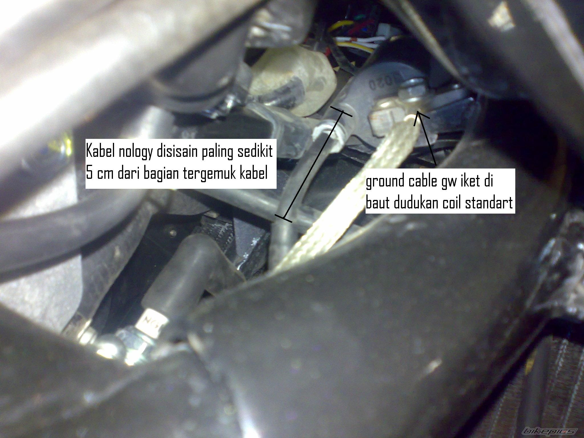 Photo 1443452