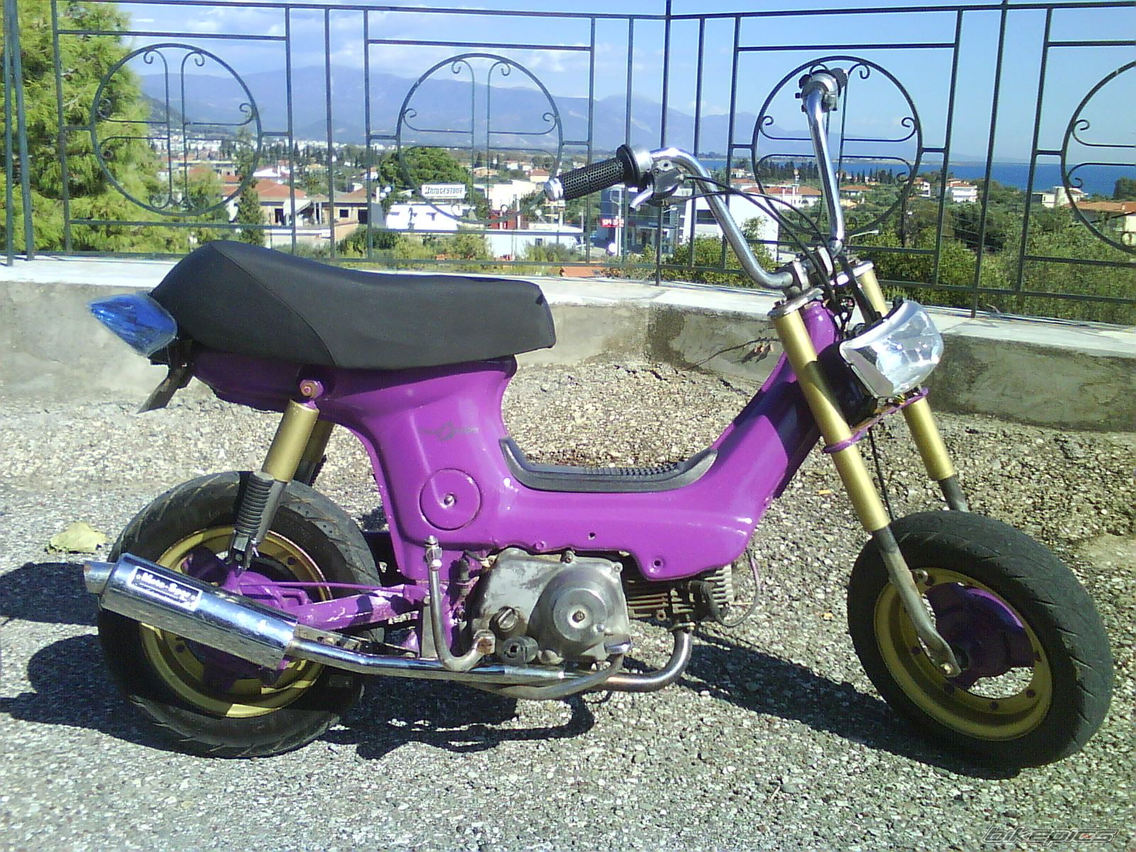 Photo 1443453