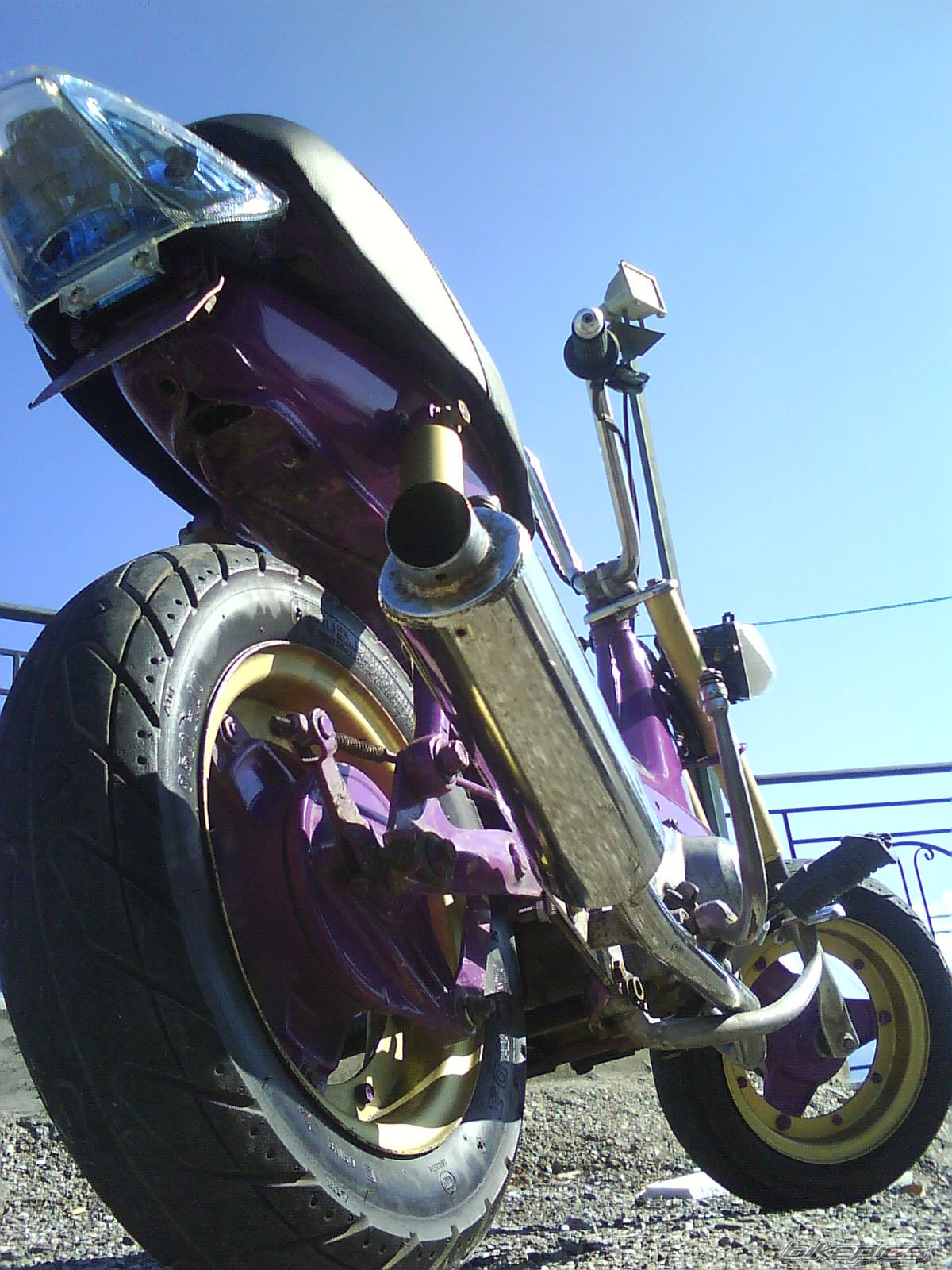 Photo 1443454