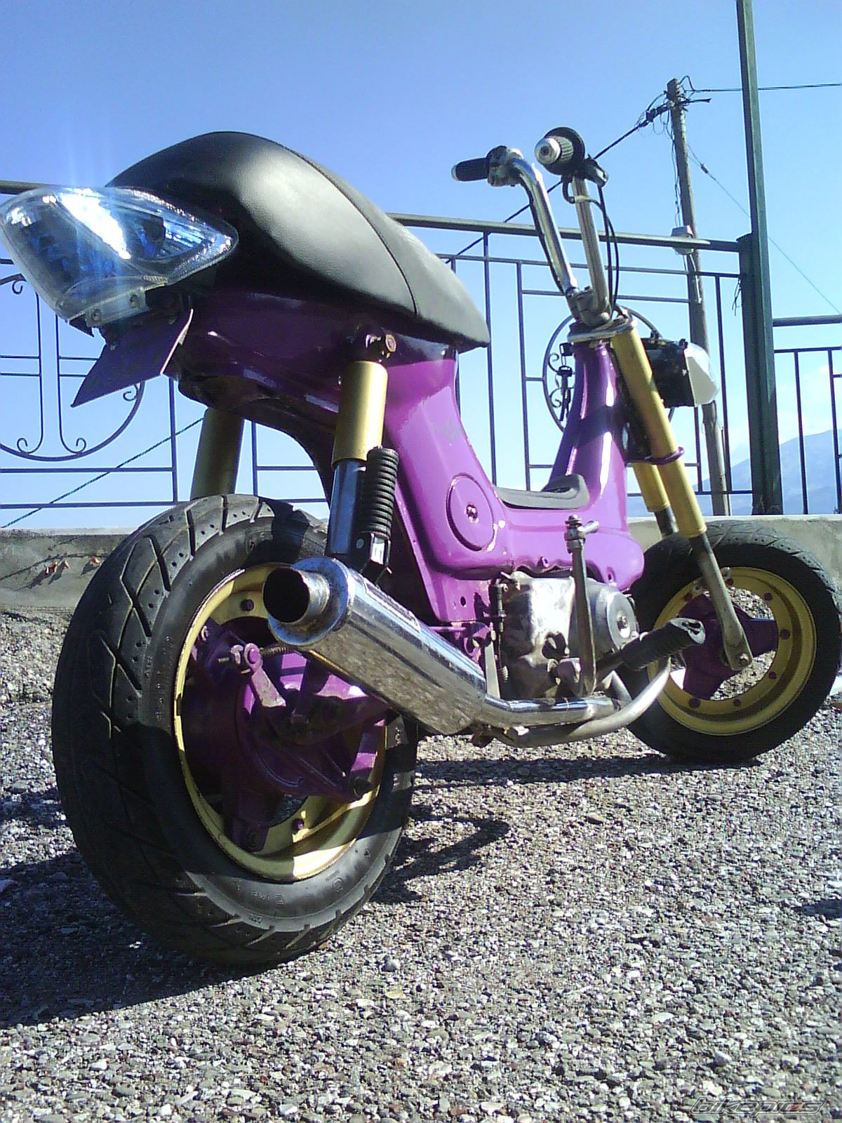 Photo 1443456