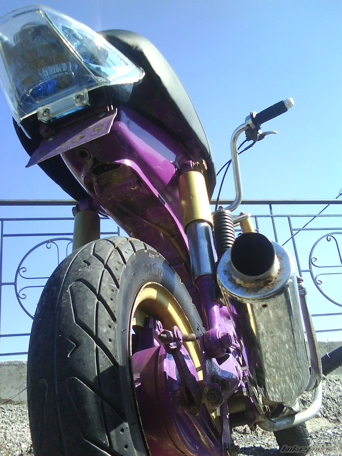 Photo 1443457