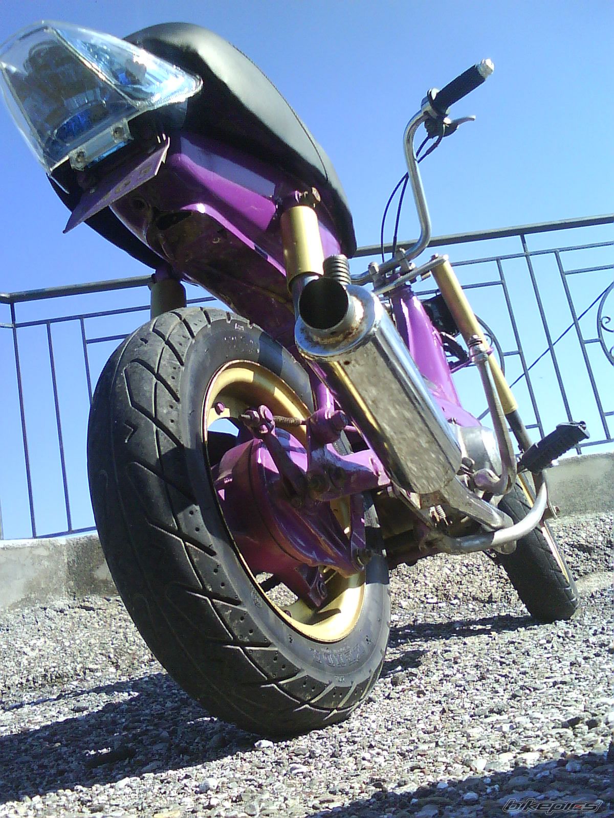 Photo 1443458