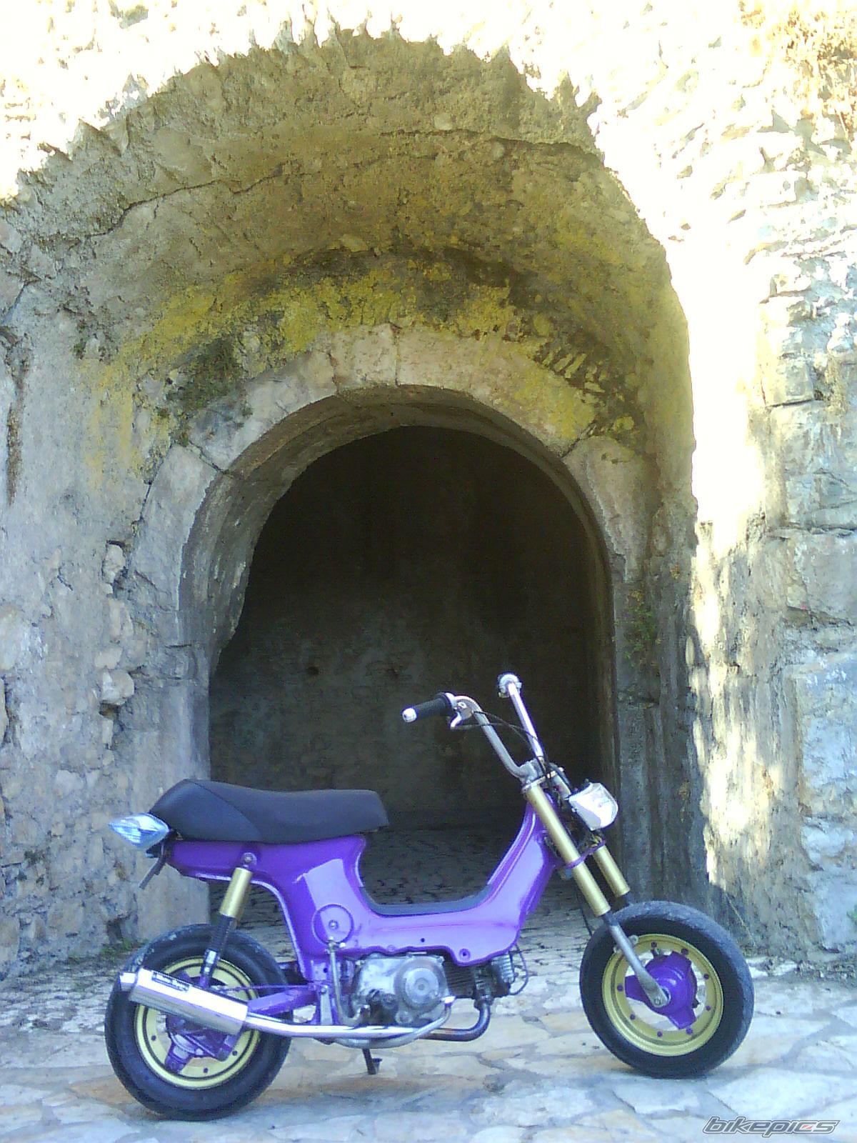 Photo 1443460