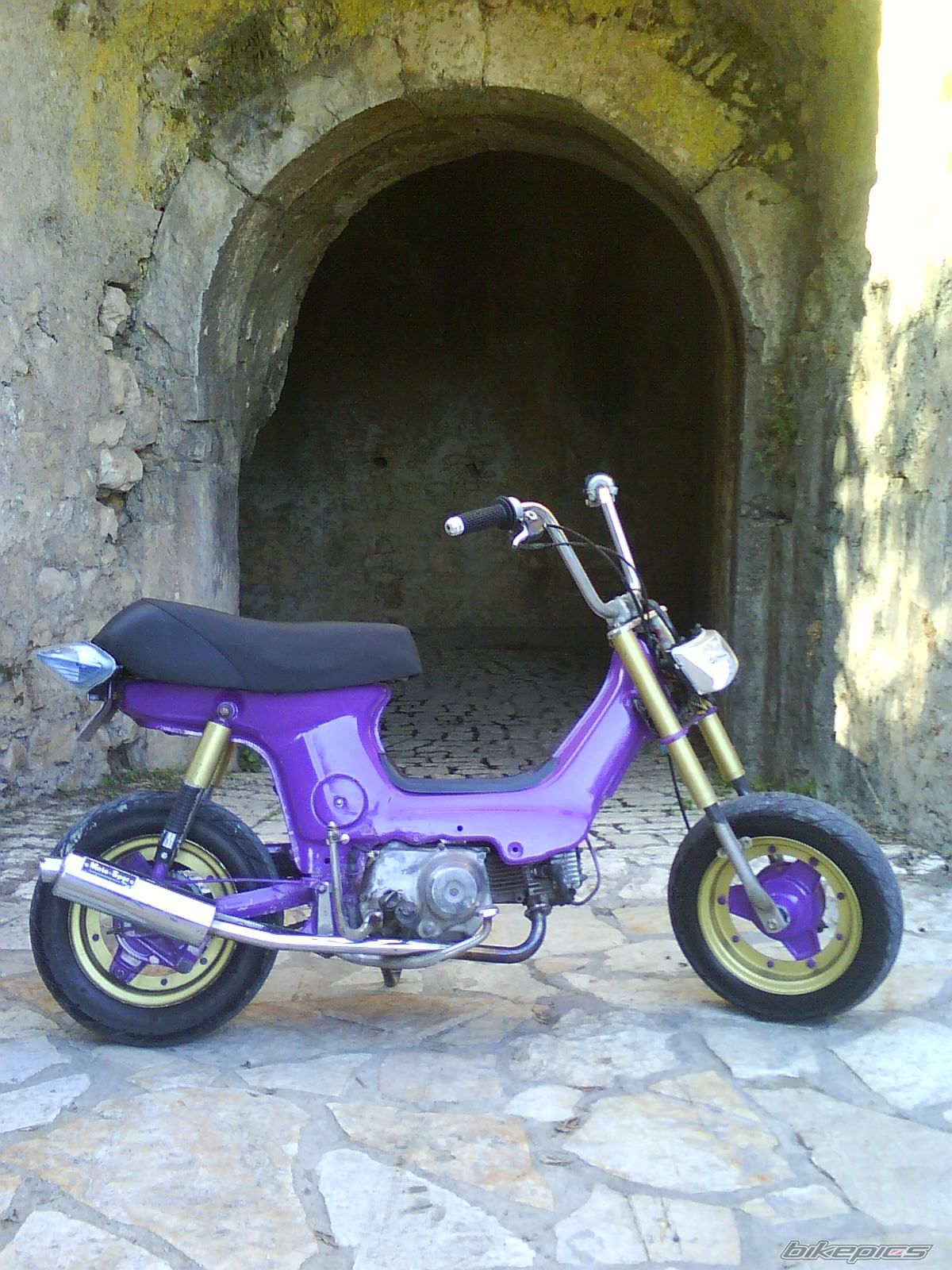 Photo 1443461