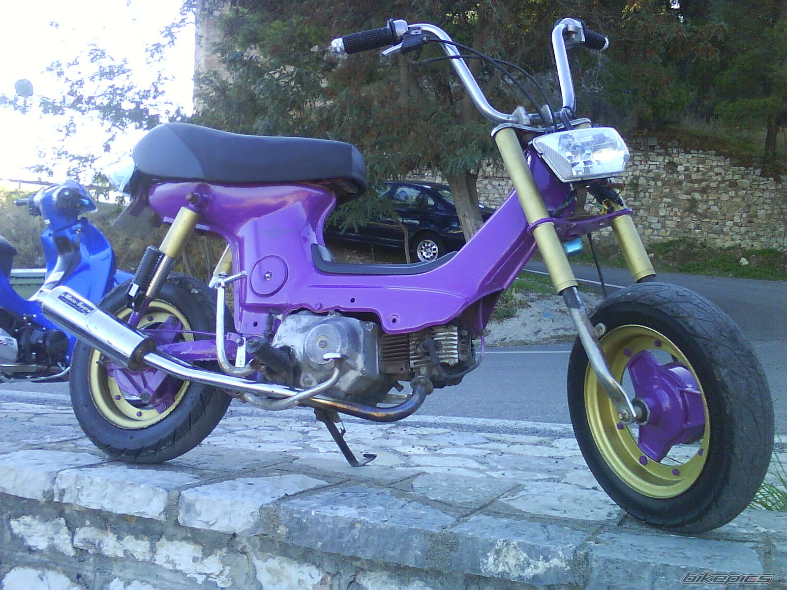 Photo 1443463