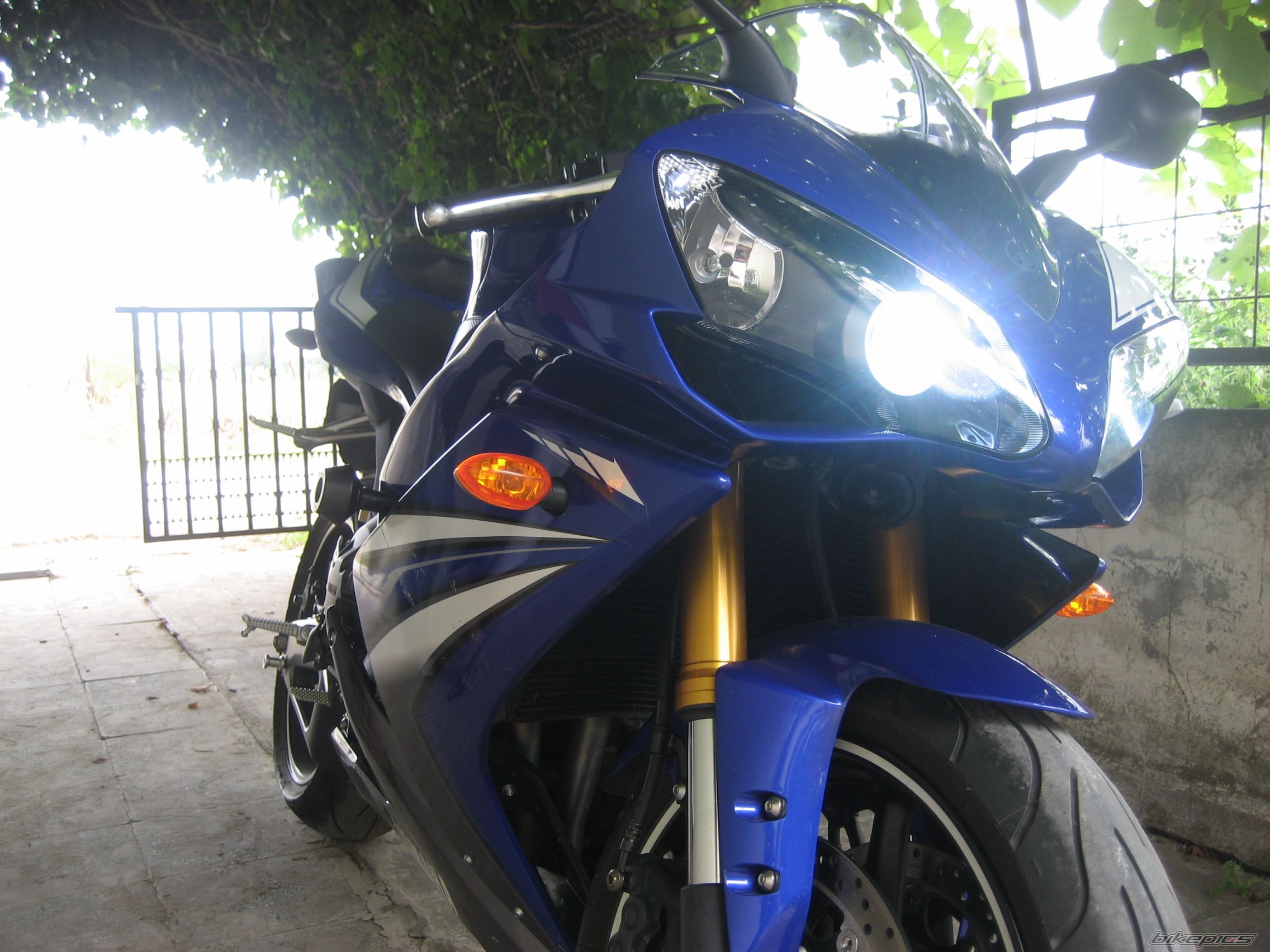 Photo 1443646