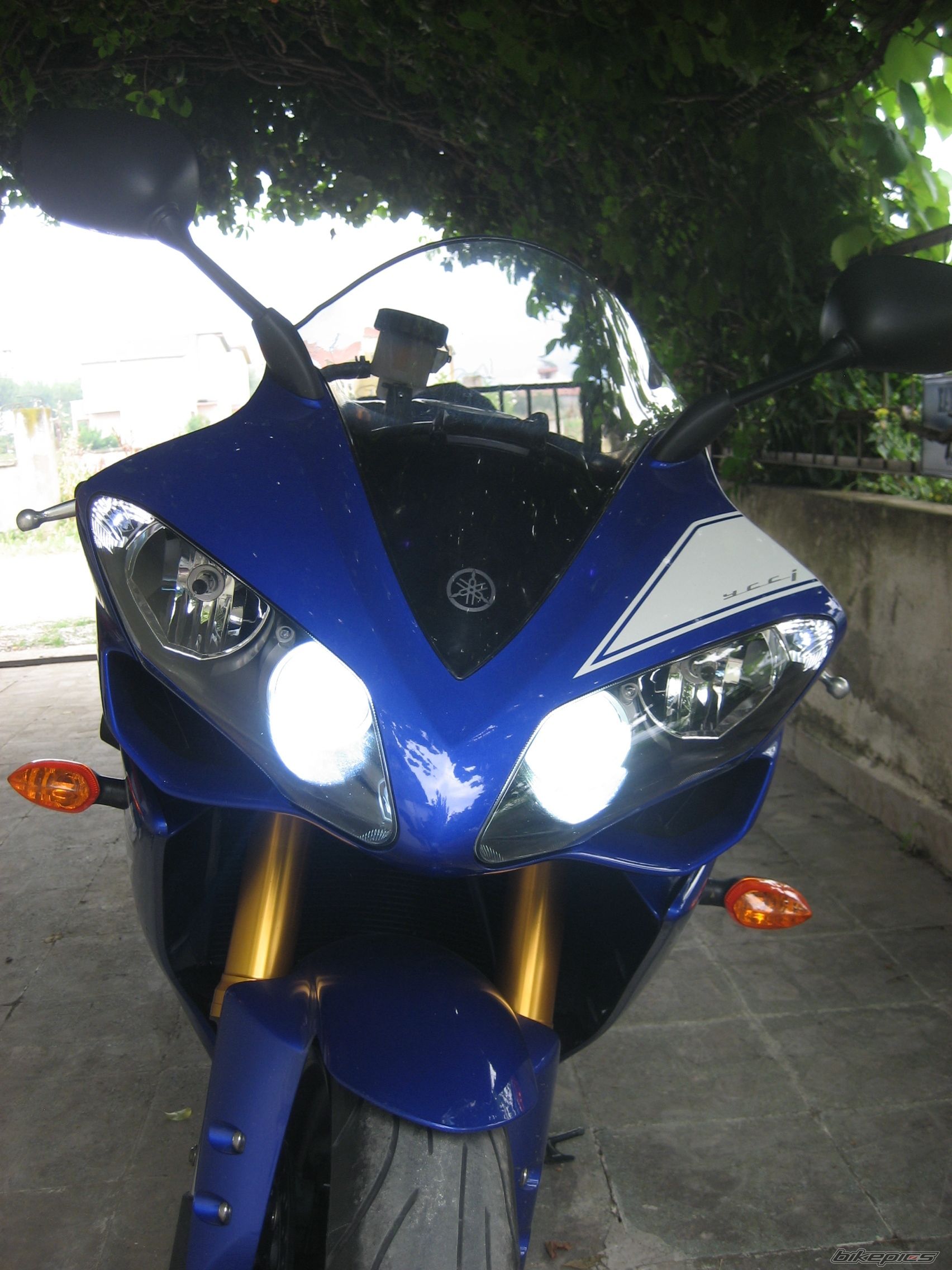 Photo 1443648
