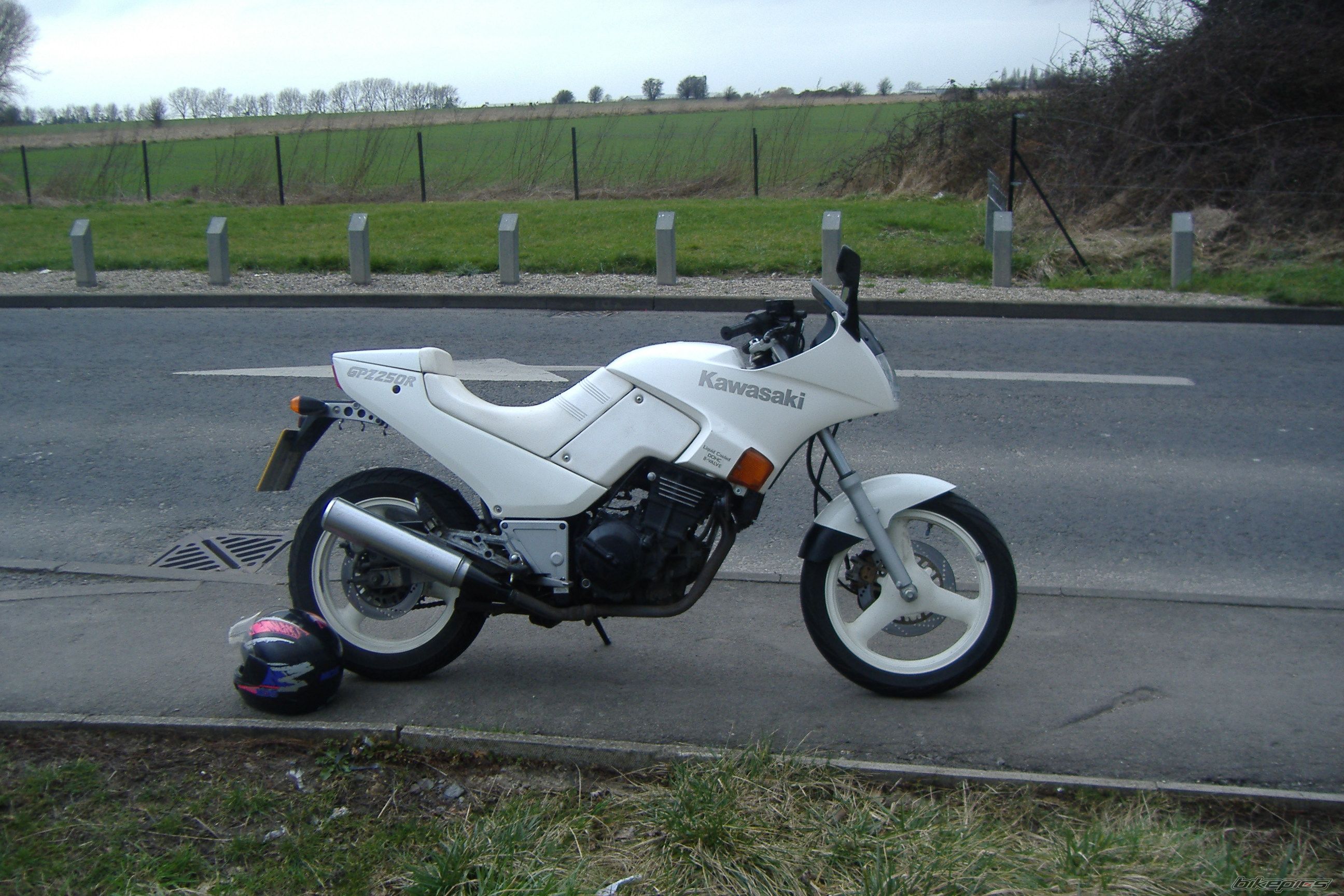 Photo 1443674
