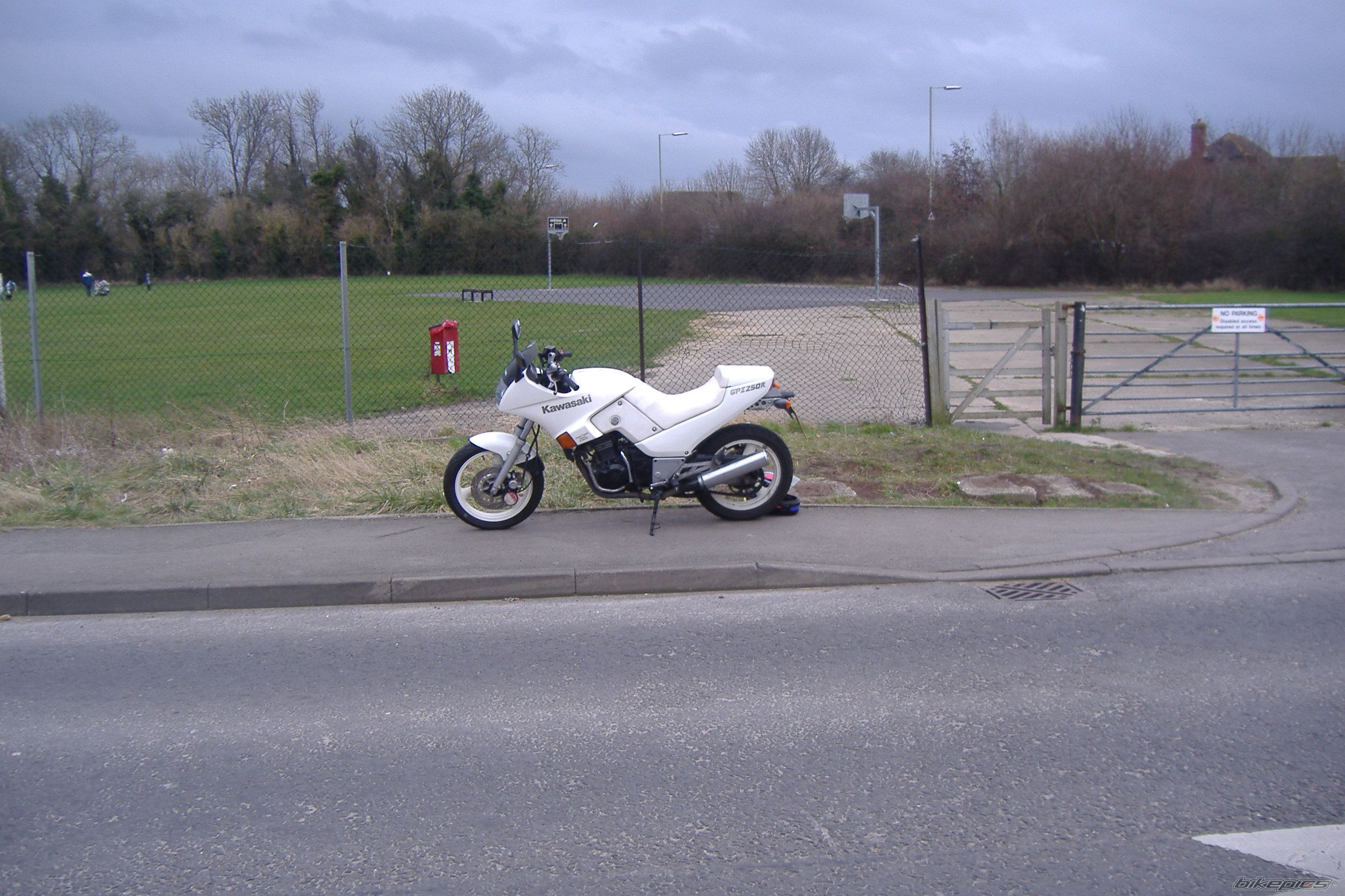 Photo 1443694