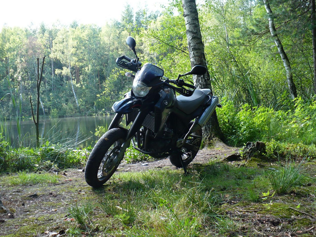 Photo 1443695