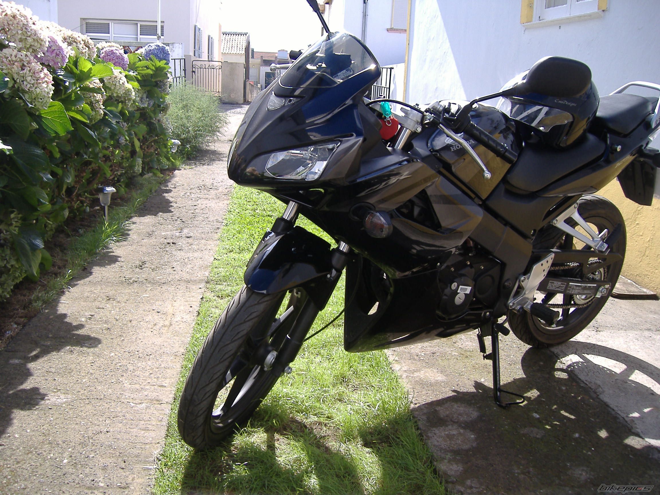 Photo 1443777