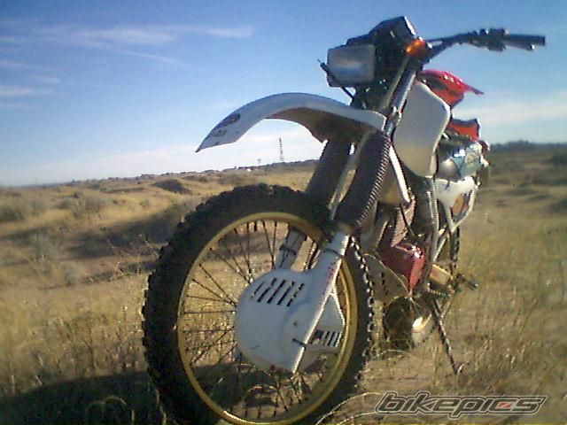 Photo 1443784