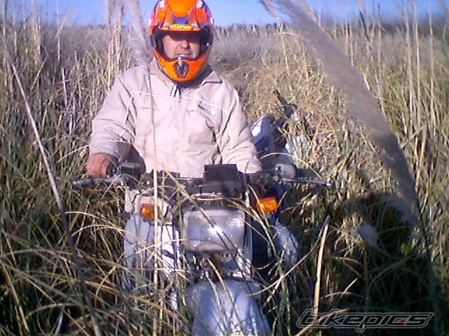 Photo 1443789