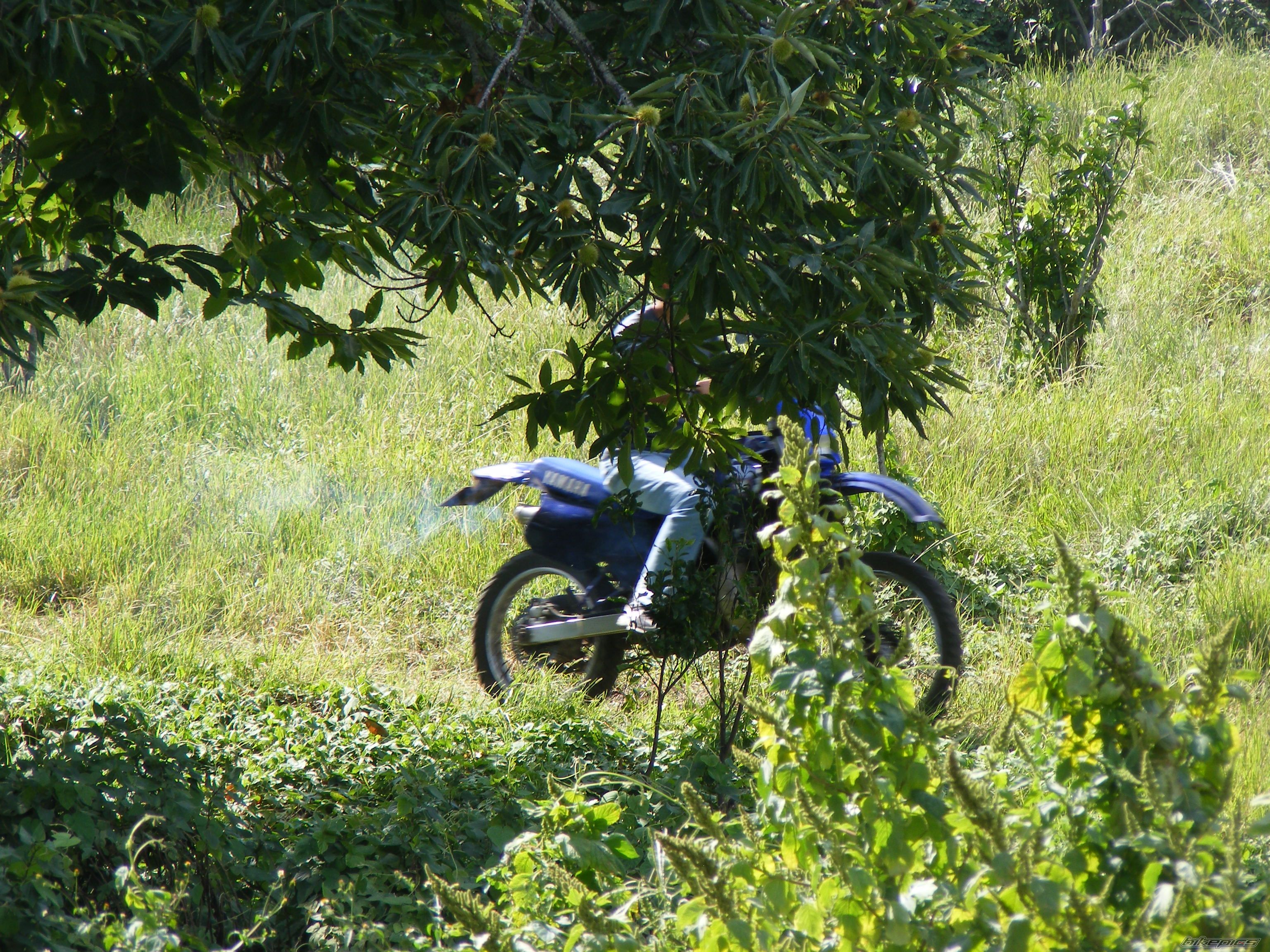 Bike Photo 1443801