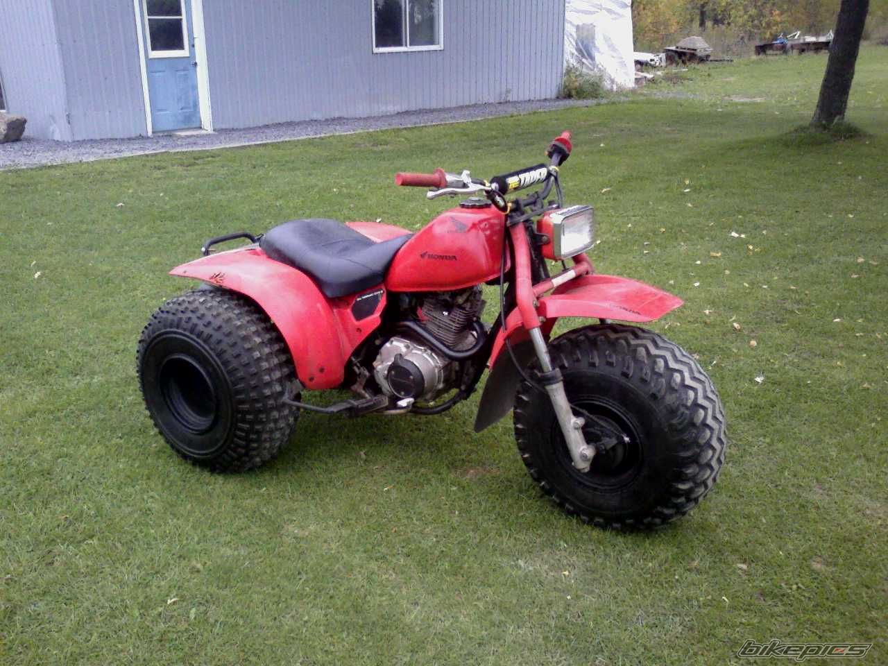 Photo 1443822