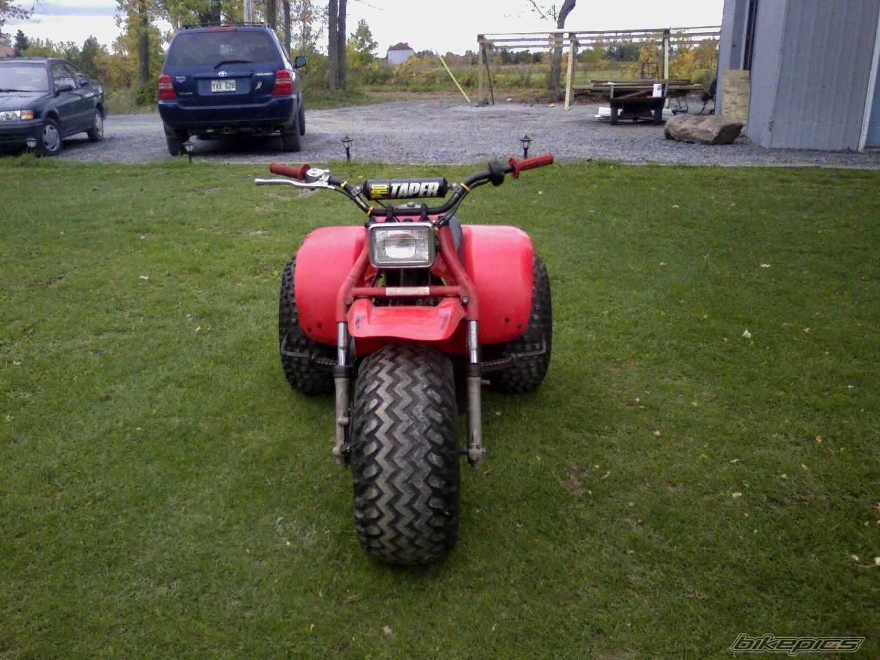 Photo 1443823