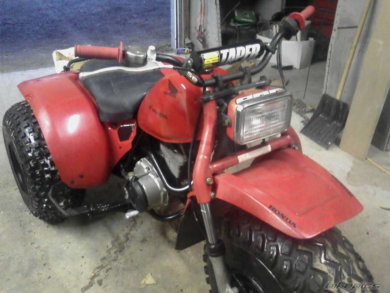Photo 1443824