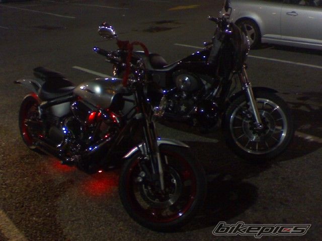 Photo 1443845