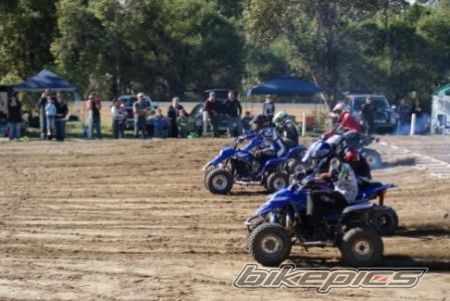 Photo 1443890