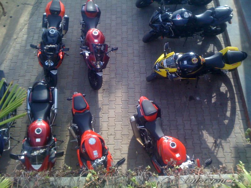Photo 1443908