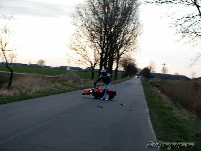 Photo 1444054
