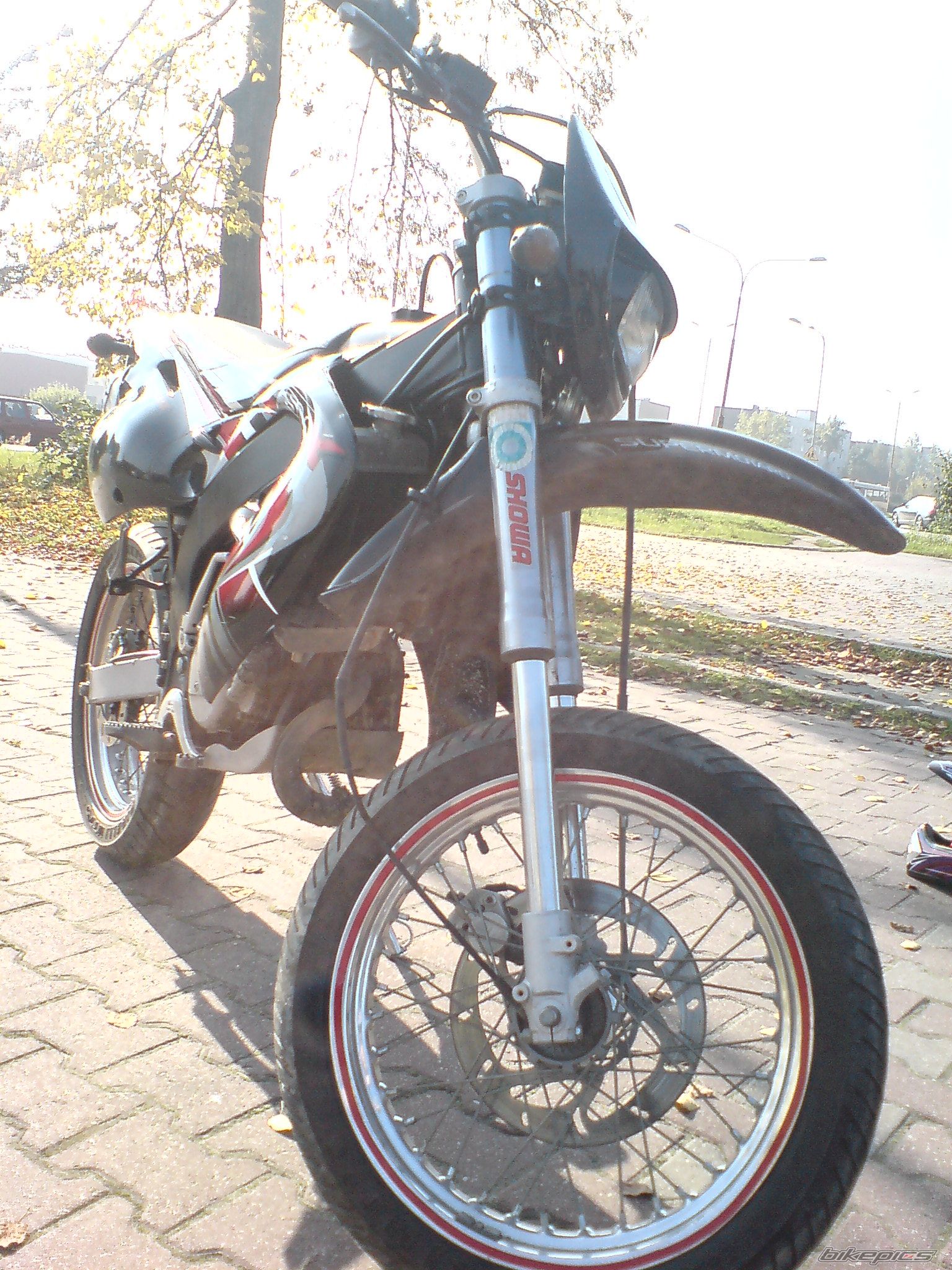 Photo 1444182
