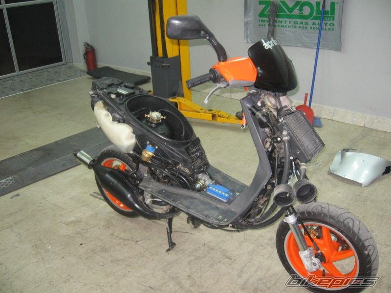 Photo 1444216