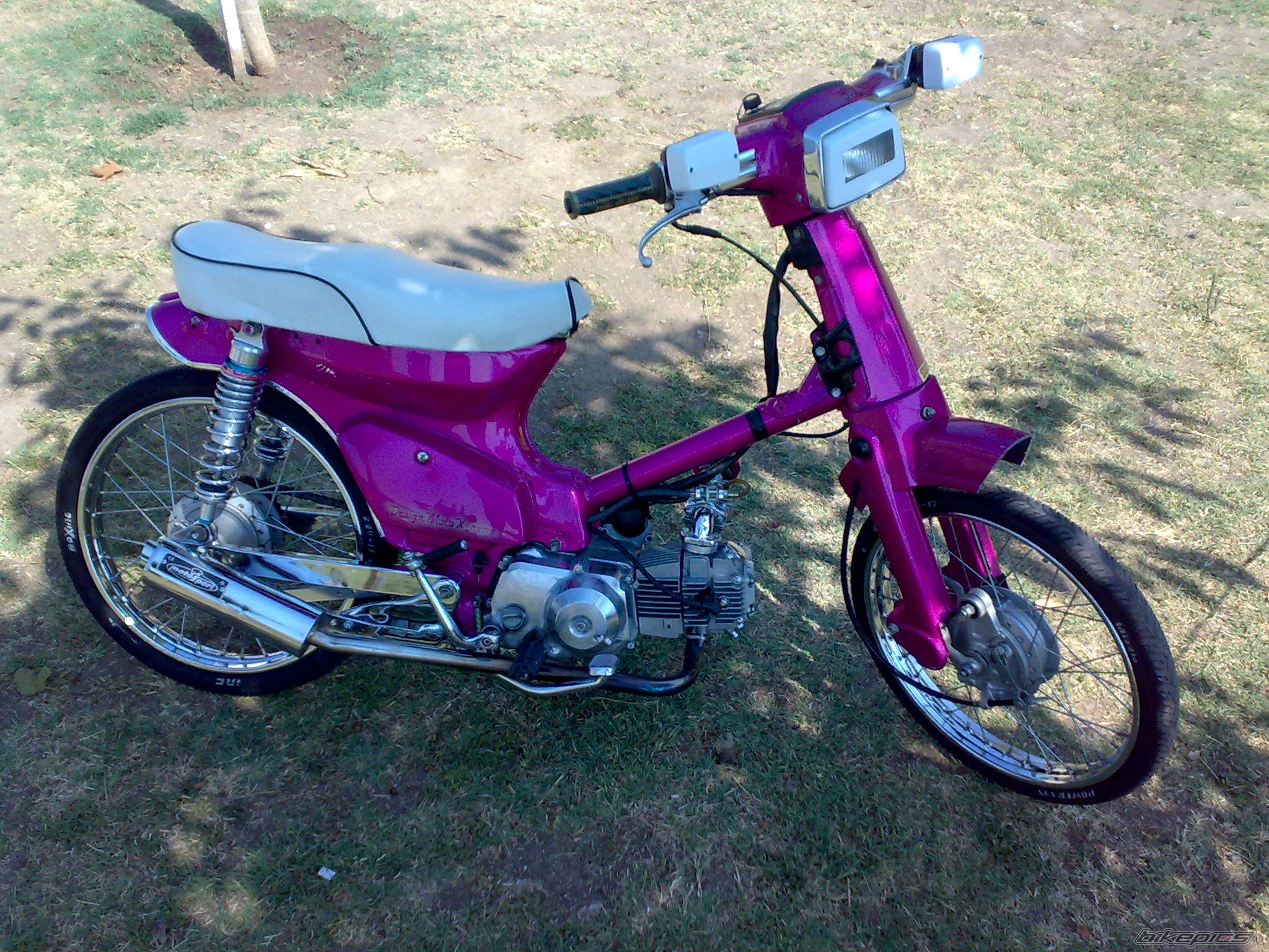 Photo 1444267