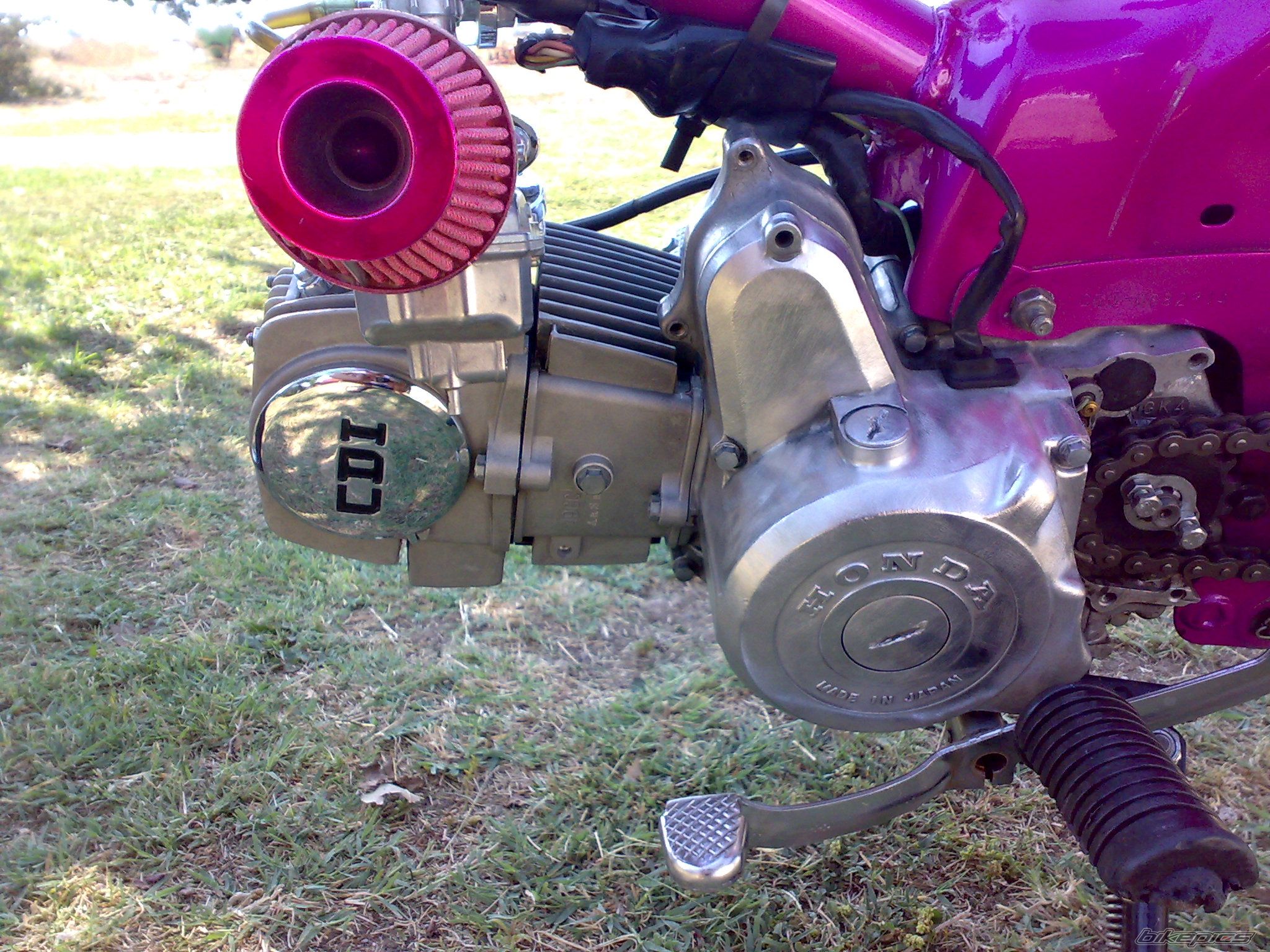 Photo 1444268
