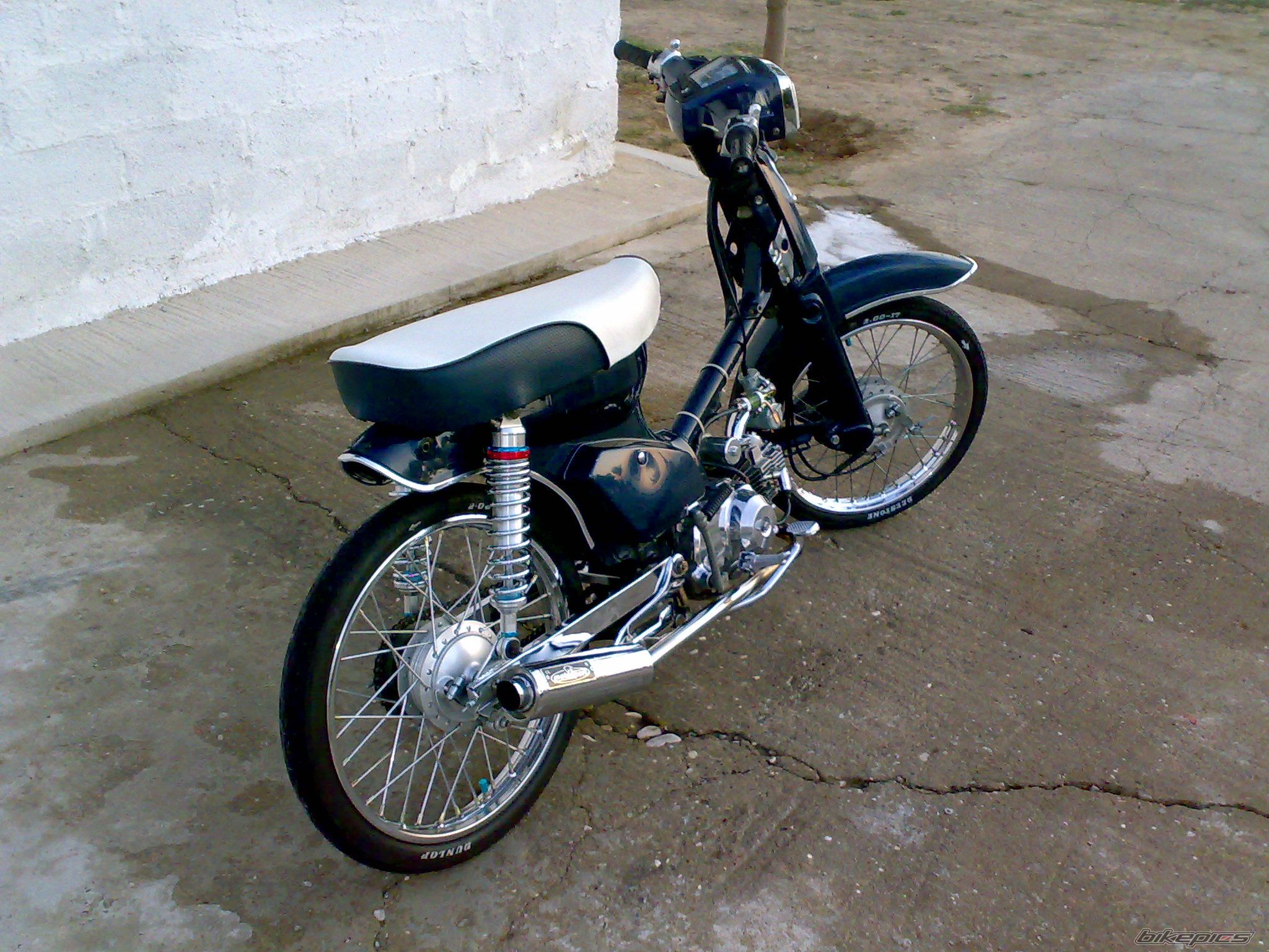 Photo 1444272