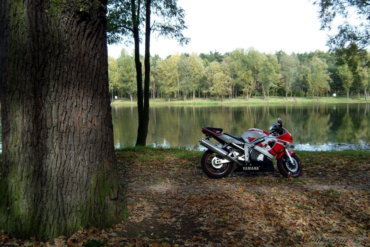 Bike Photo 1444287
