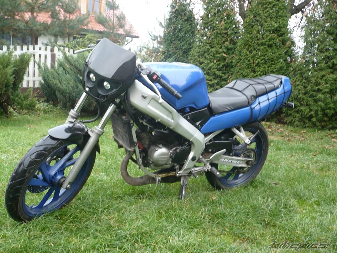 Photo 1444293