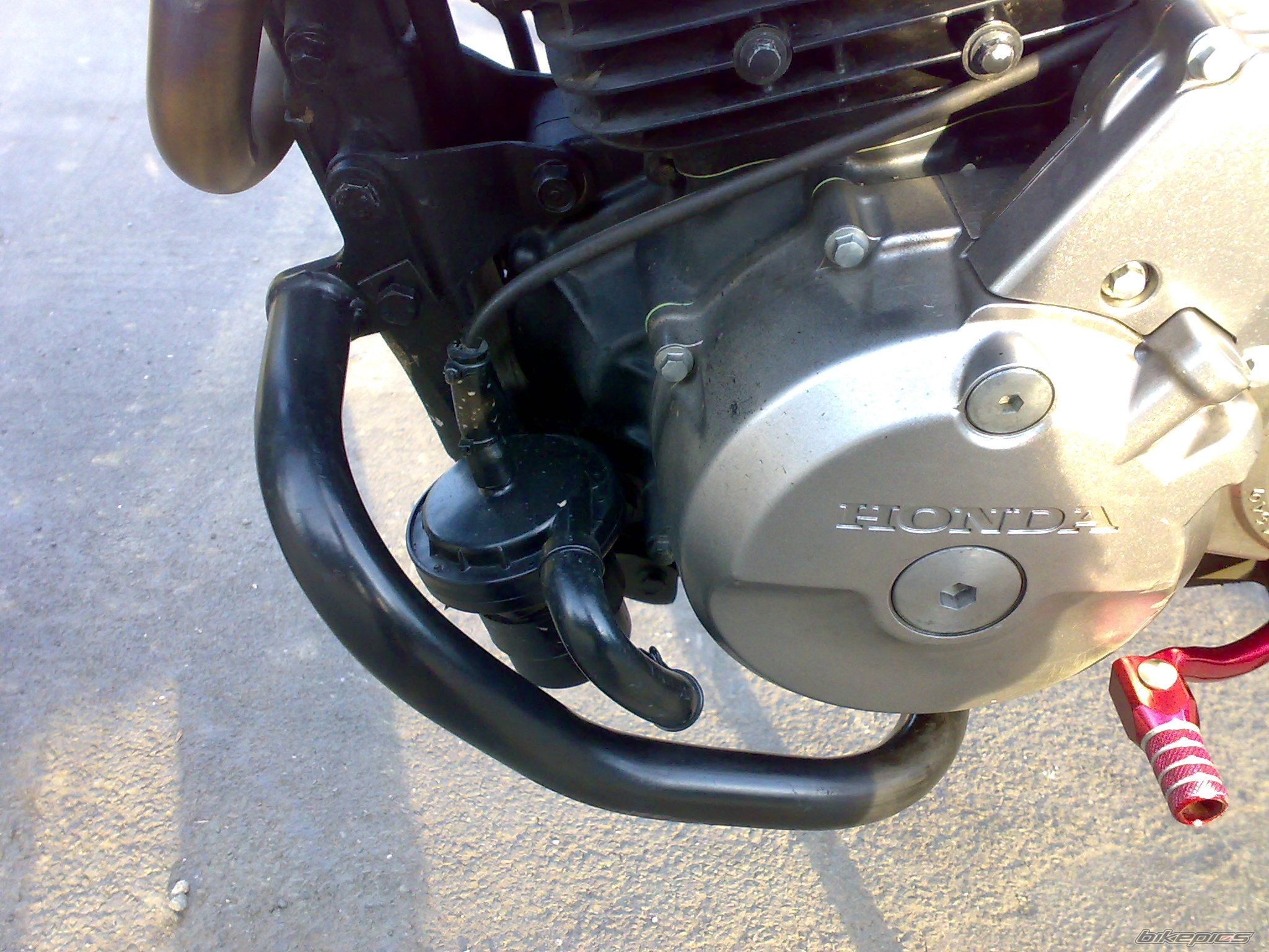 Photo 1444427