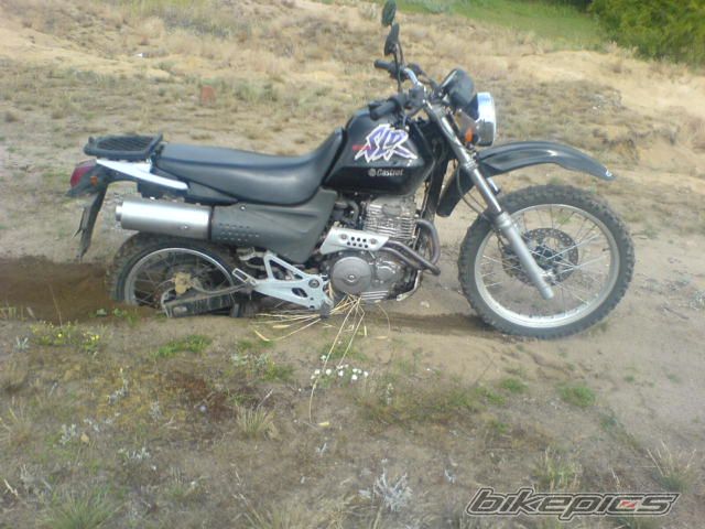 Photo 1444459
