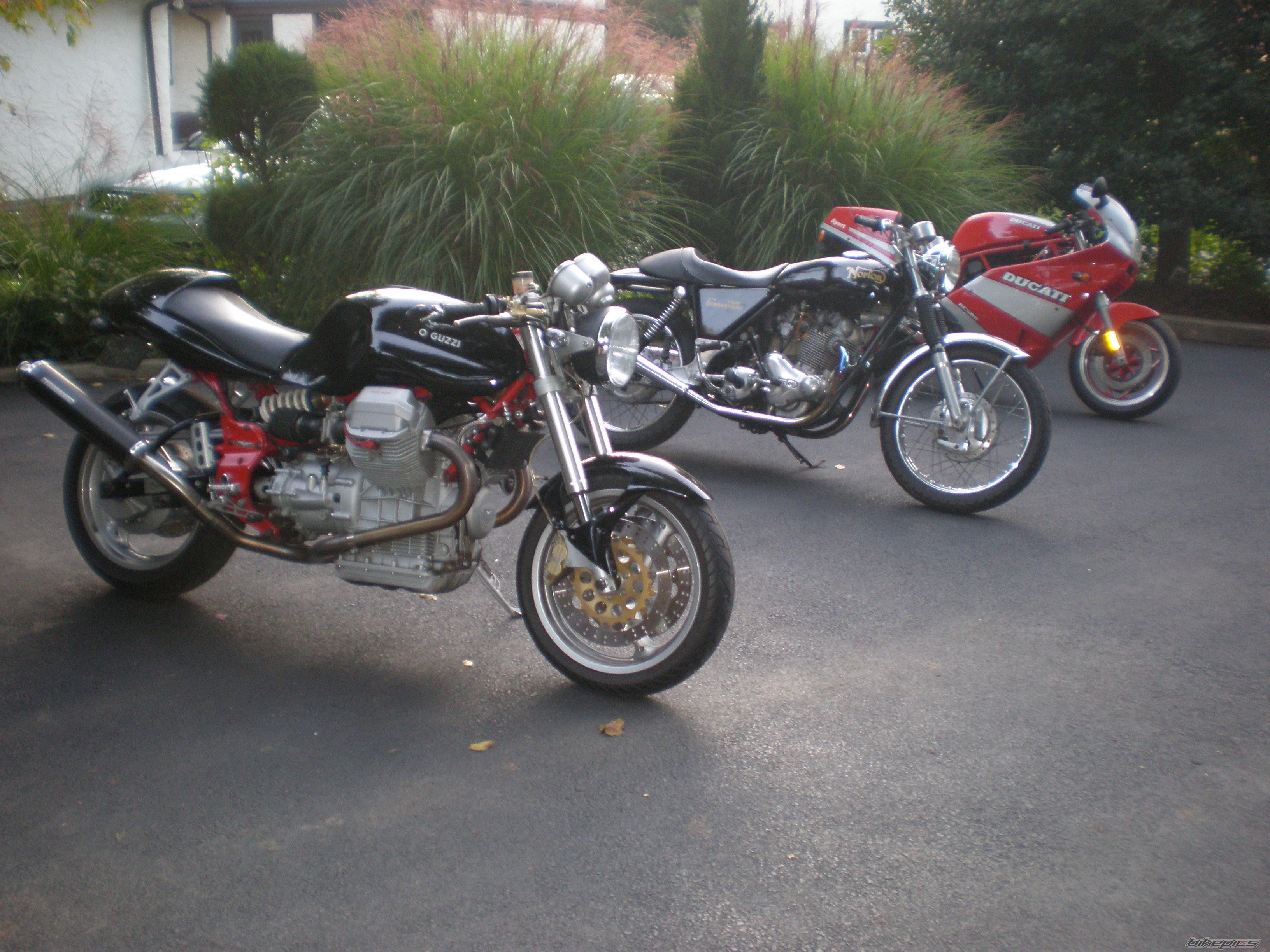 Photo 1444553