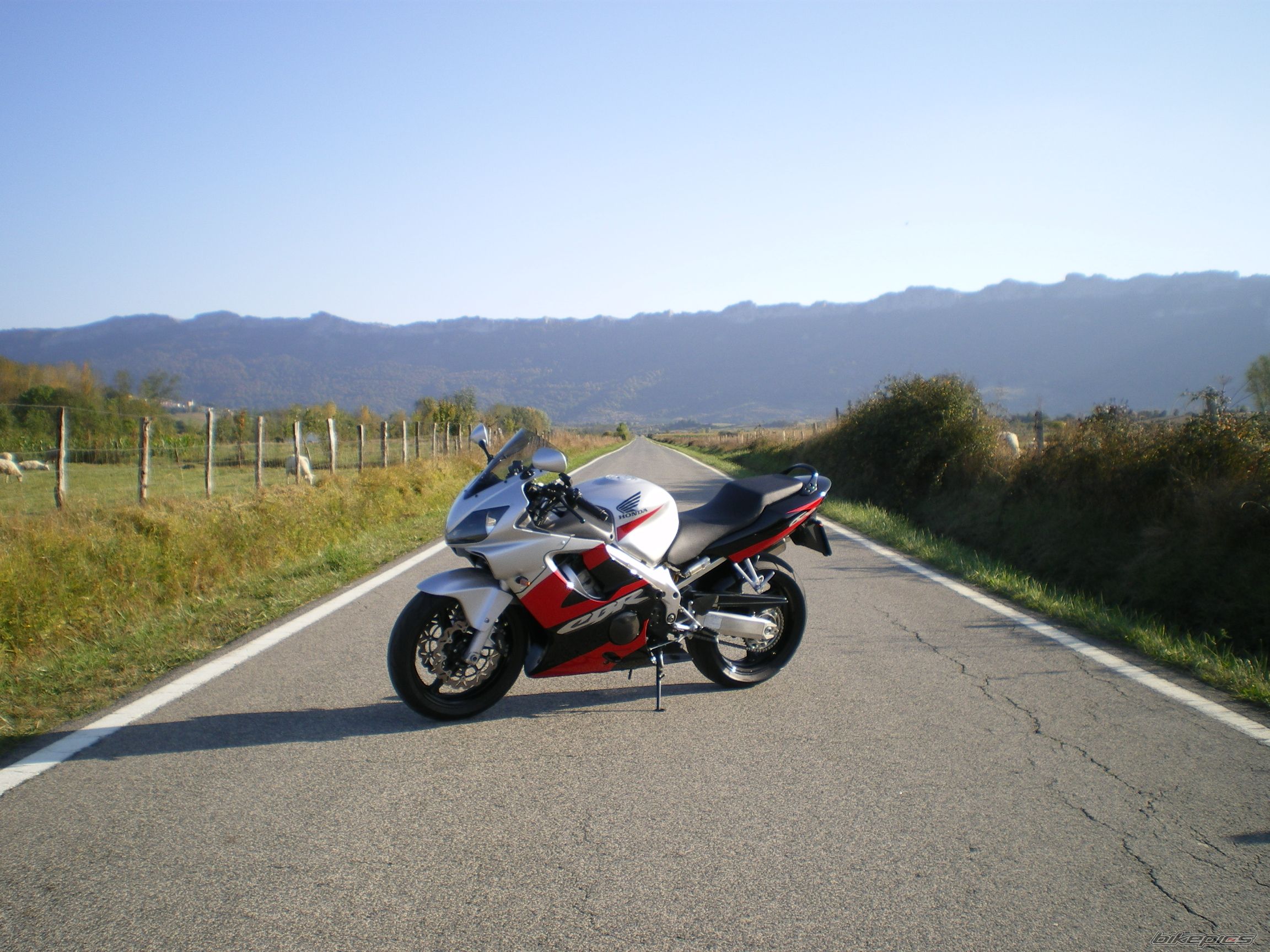 Bike Photo 1444559