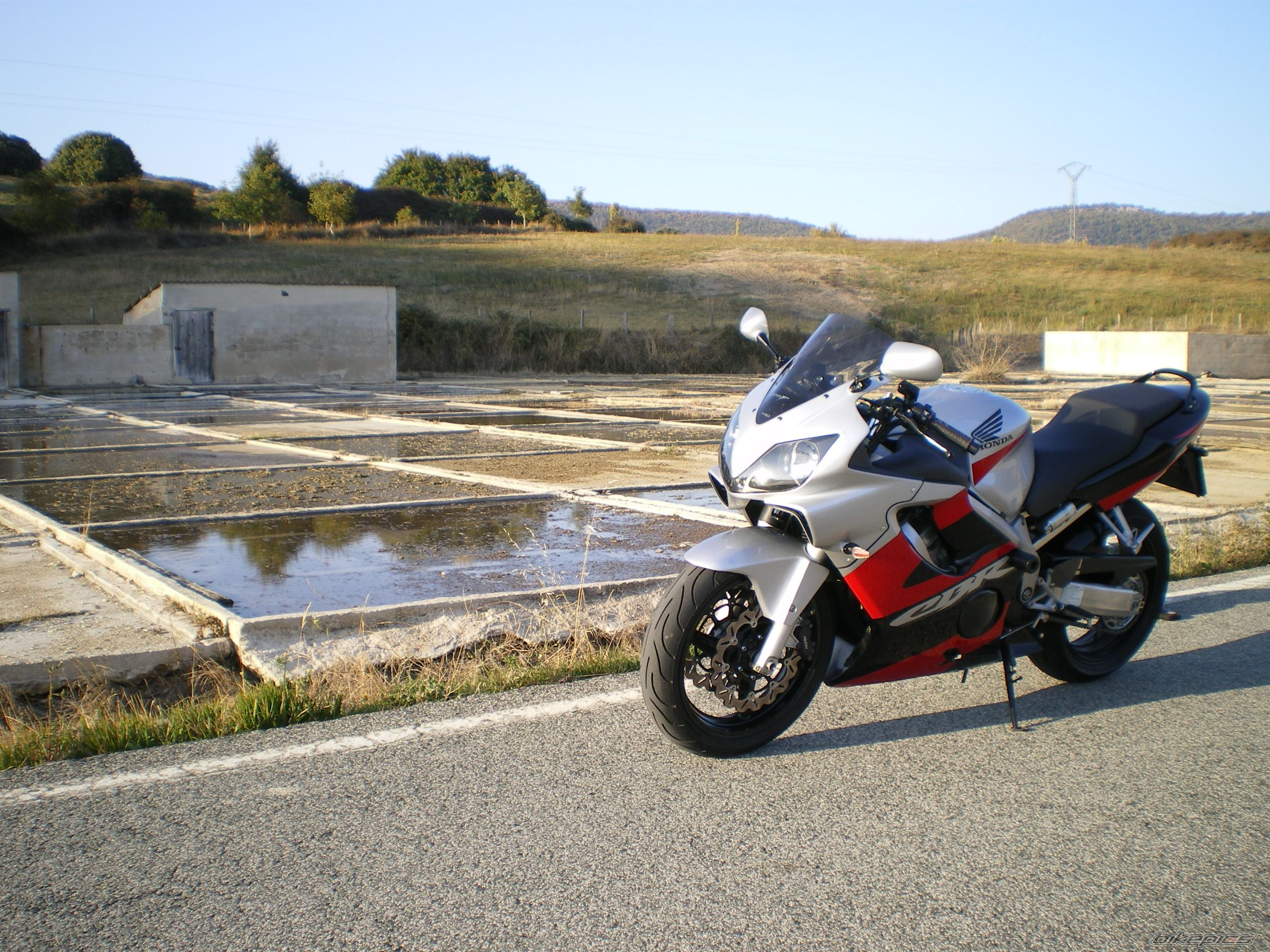 Photo 1444562