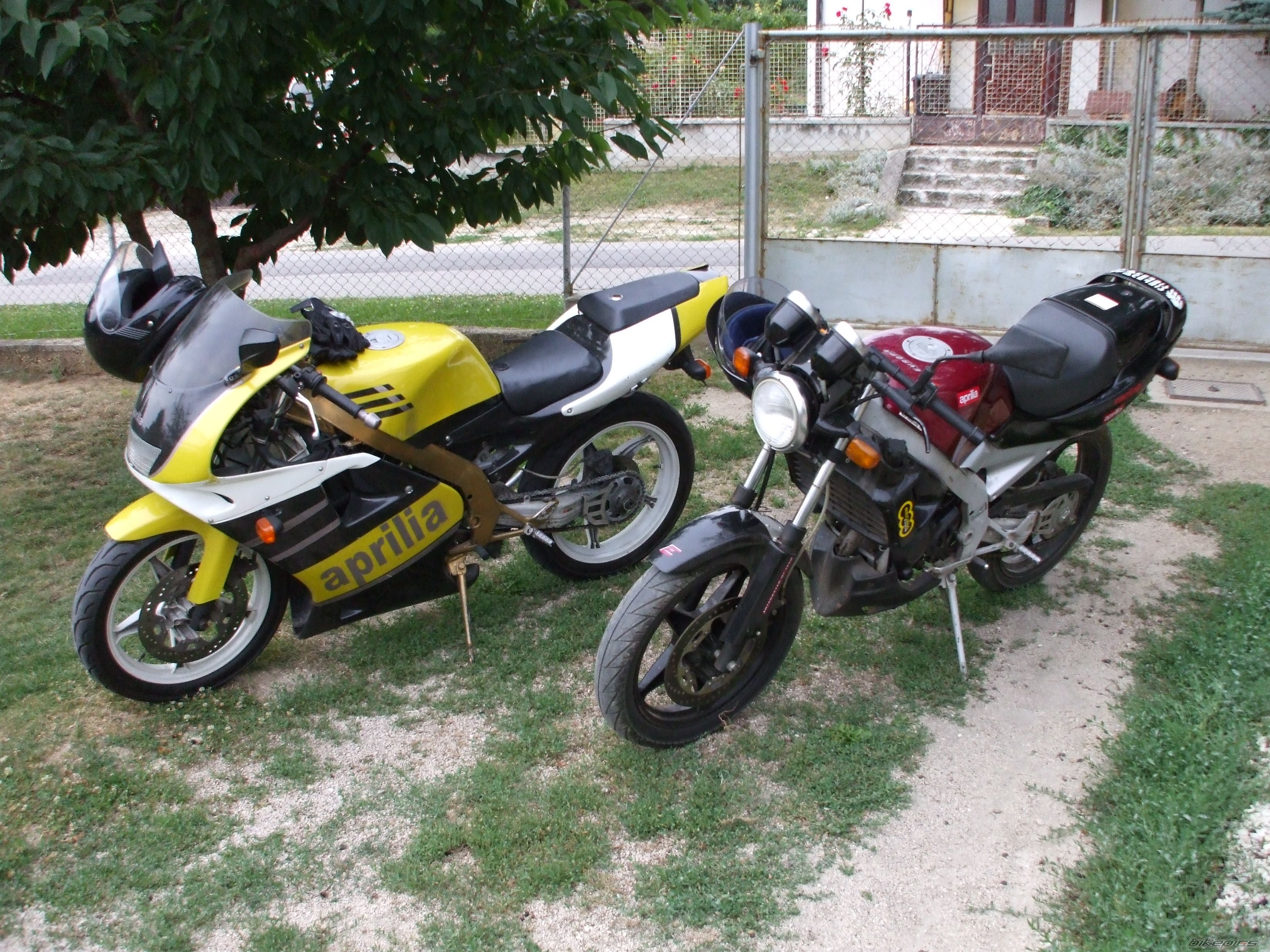 Photo 1444590