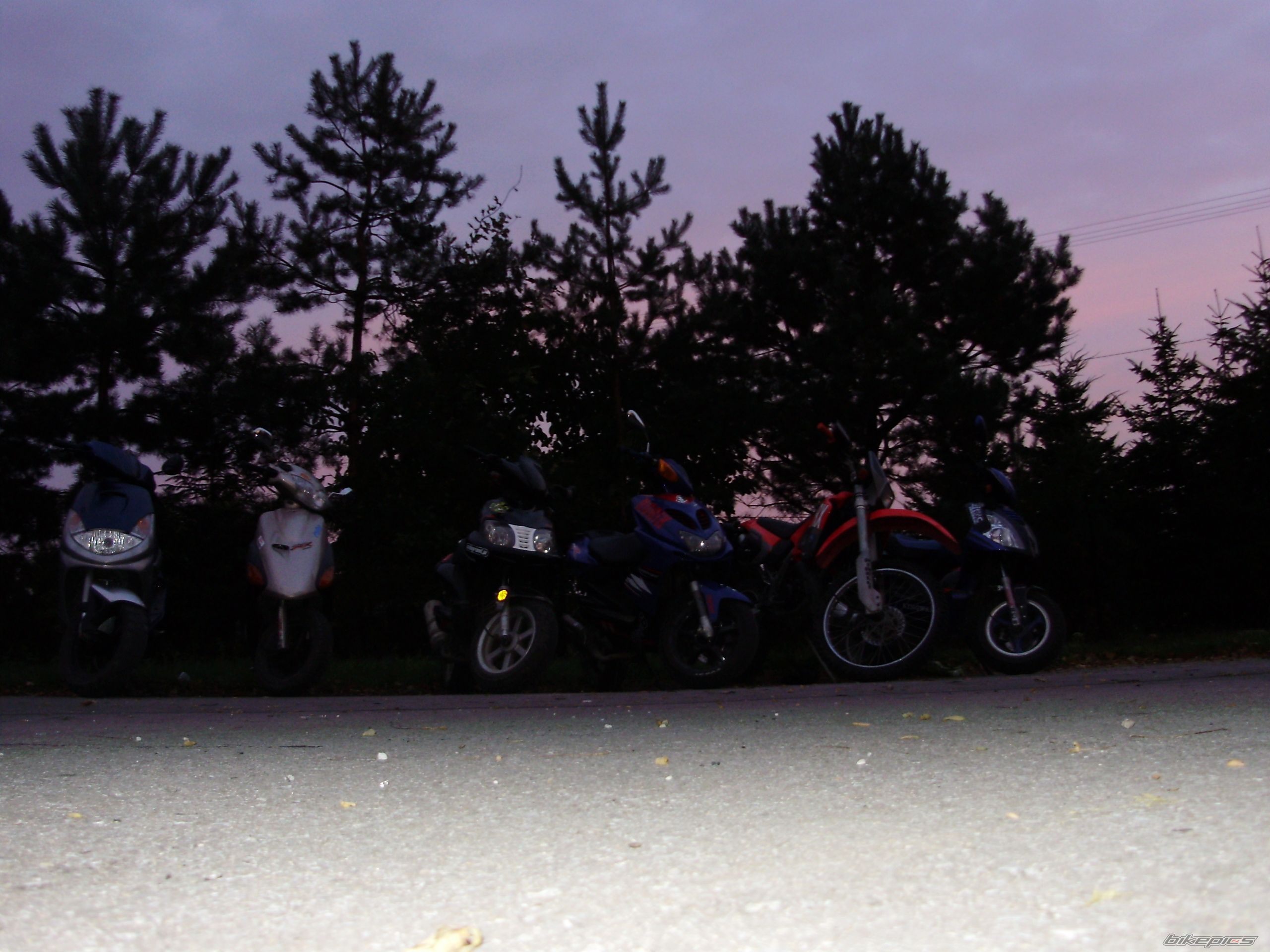 Photo 1444594