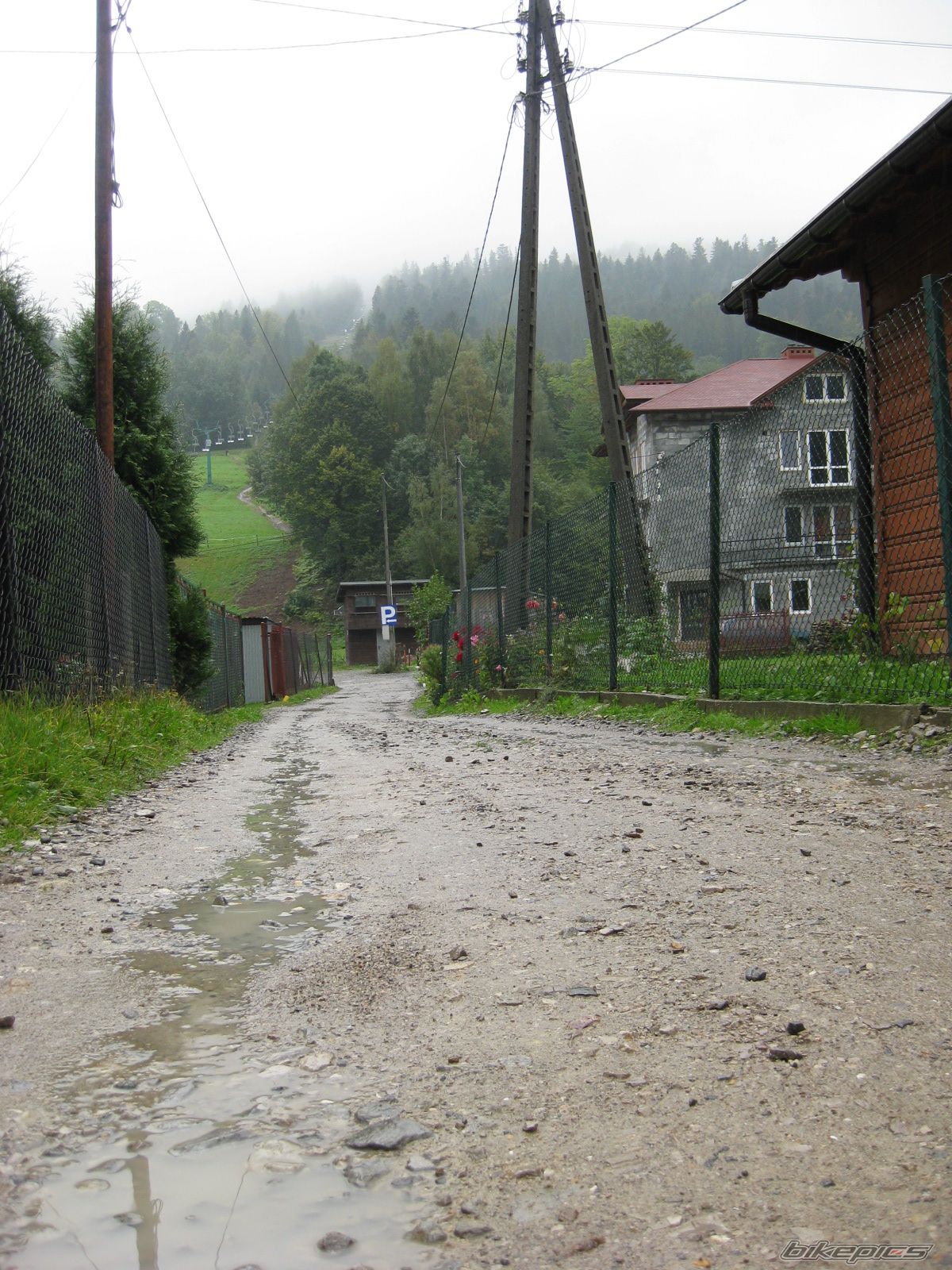 Photo 1444647