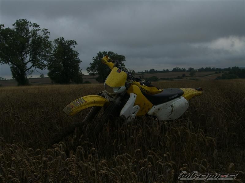 Photo 1444664