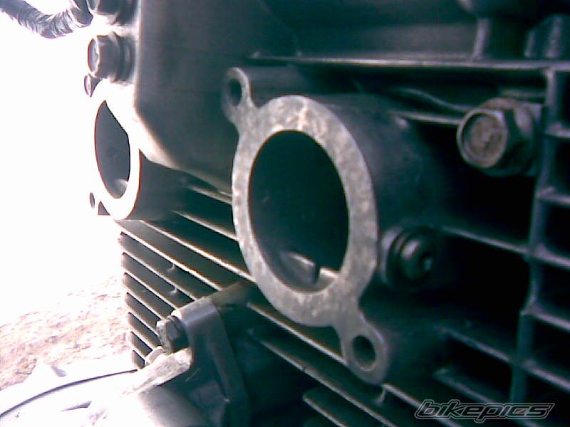 Photo 1444723