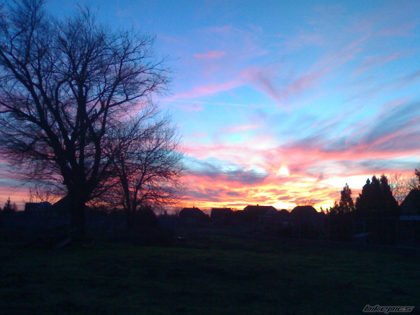 Photo 1444724