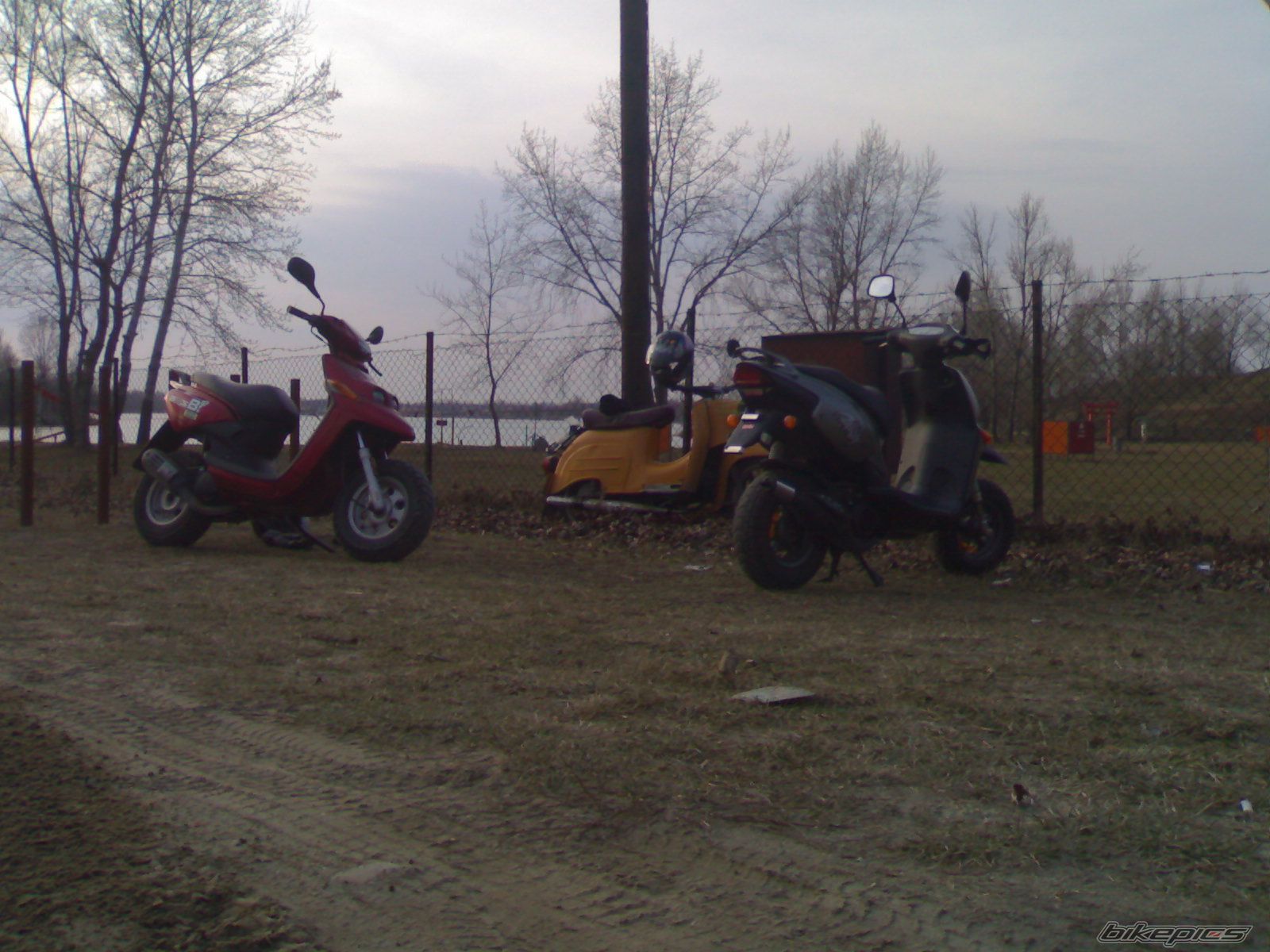 Photo 1444728