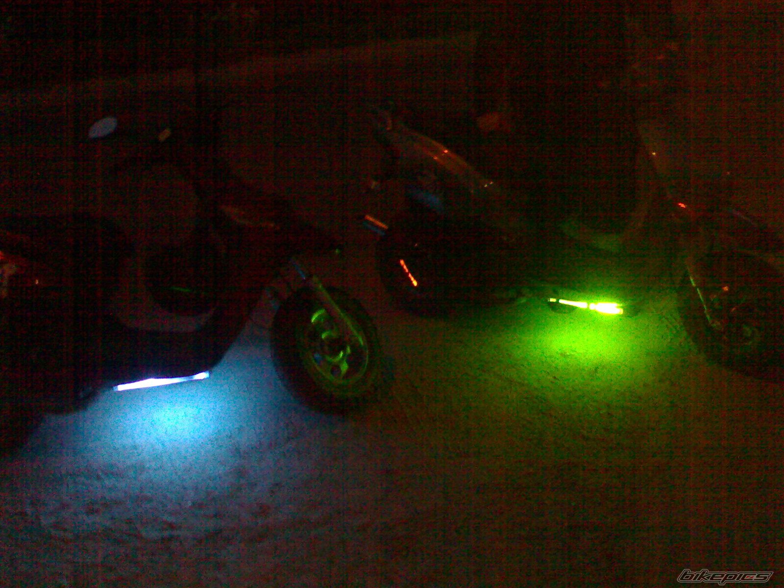 Photo 1444736