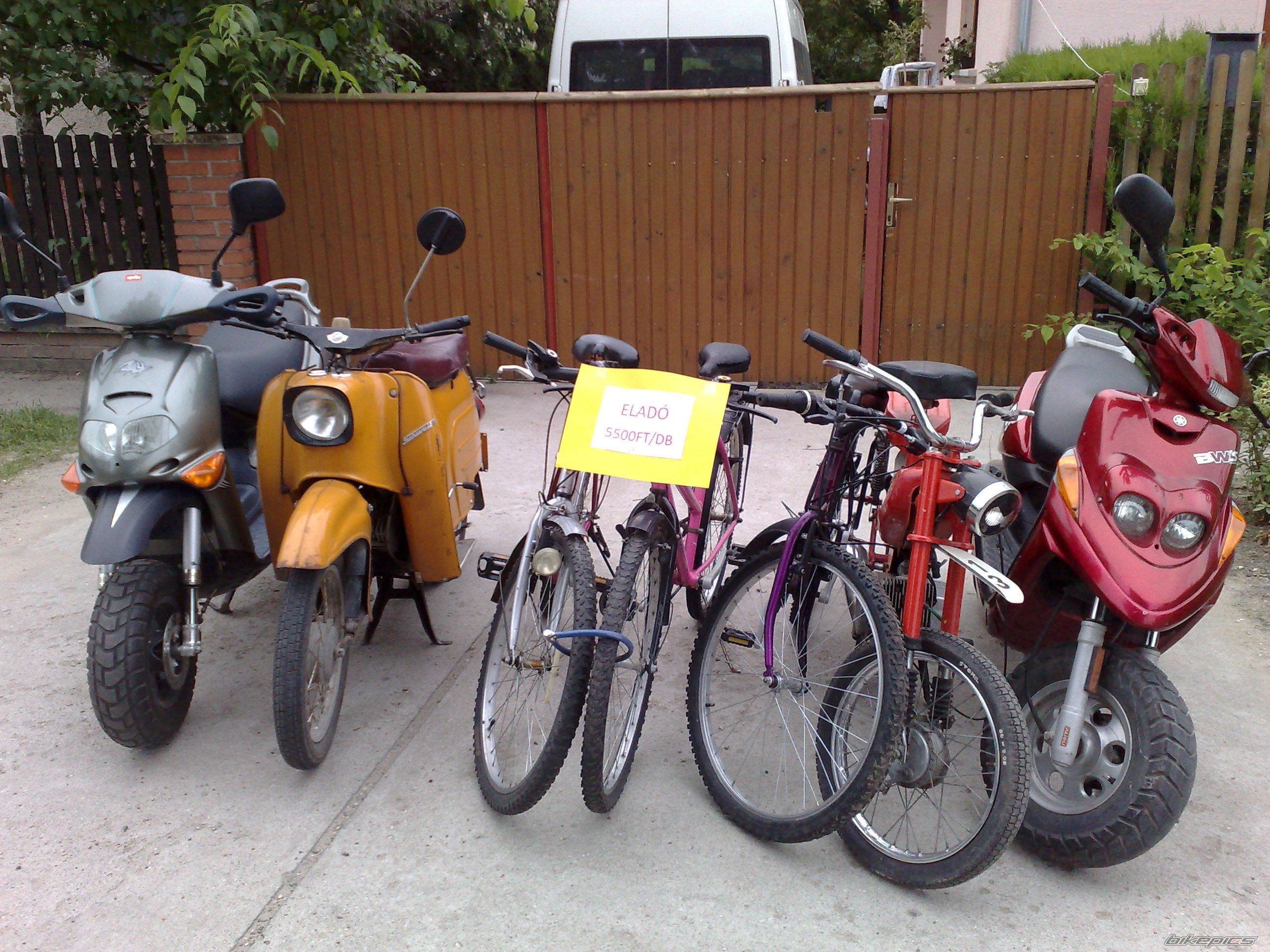 Photo 1444737