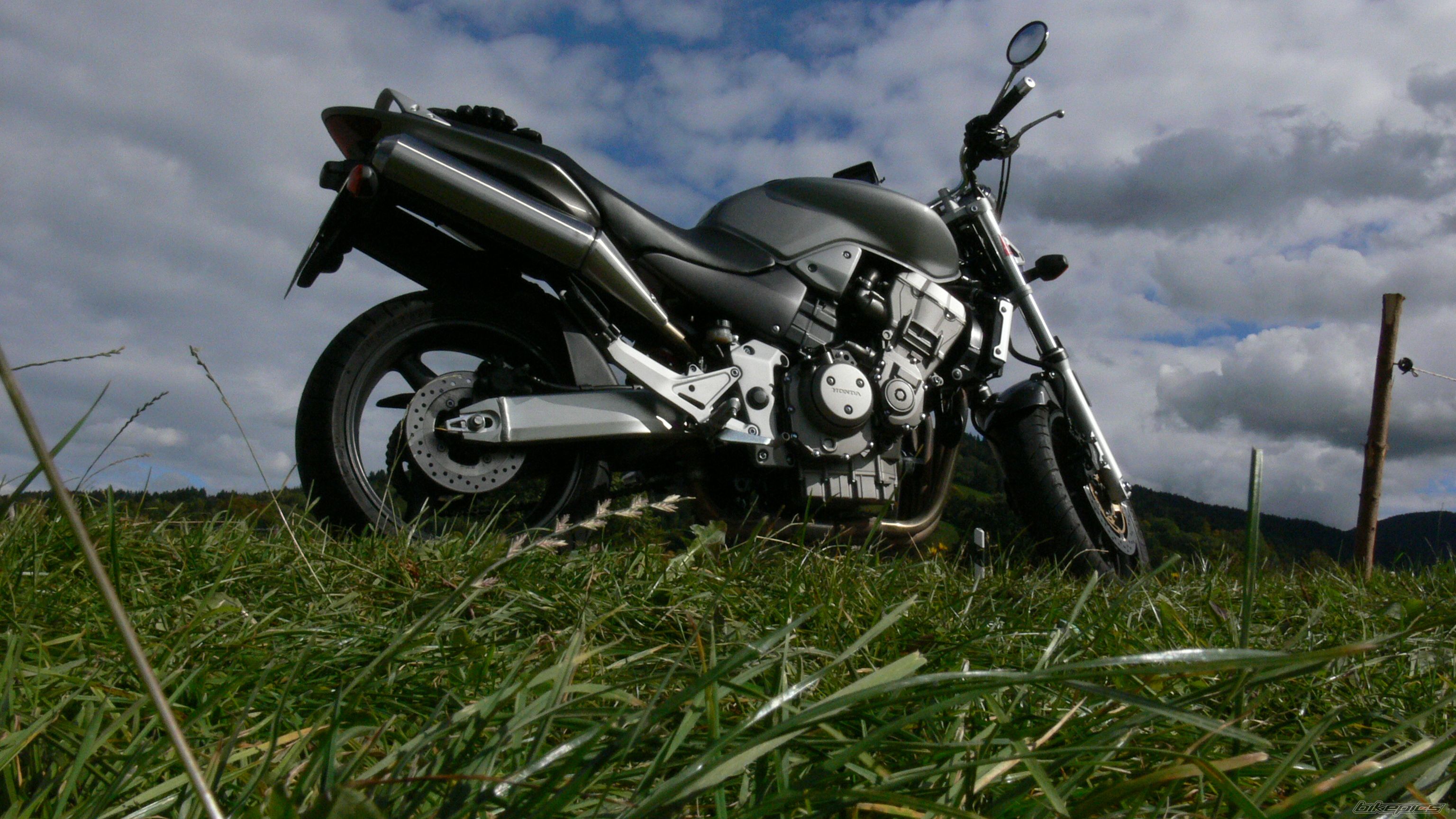 Photo 1444743