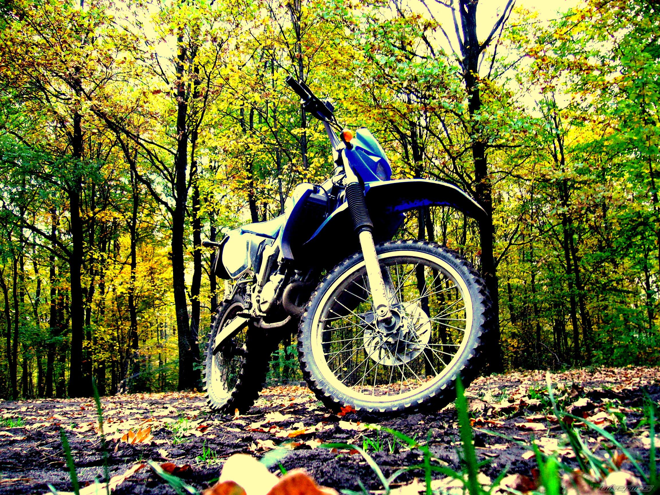 Photo 1444752