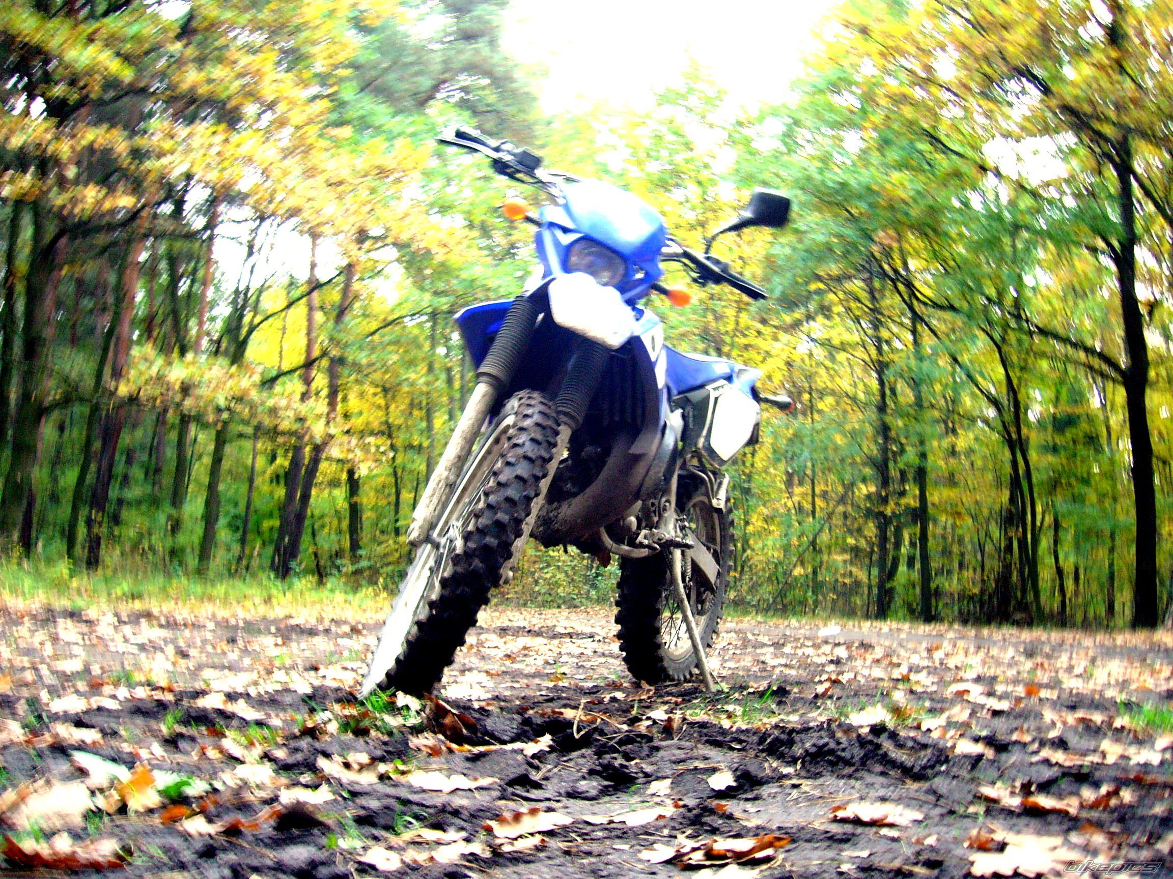 Photo 1444754
